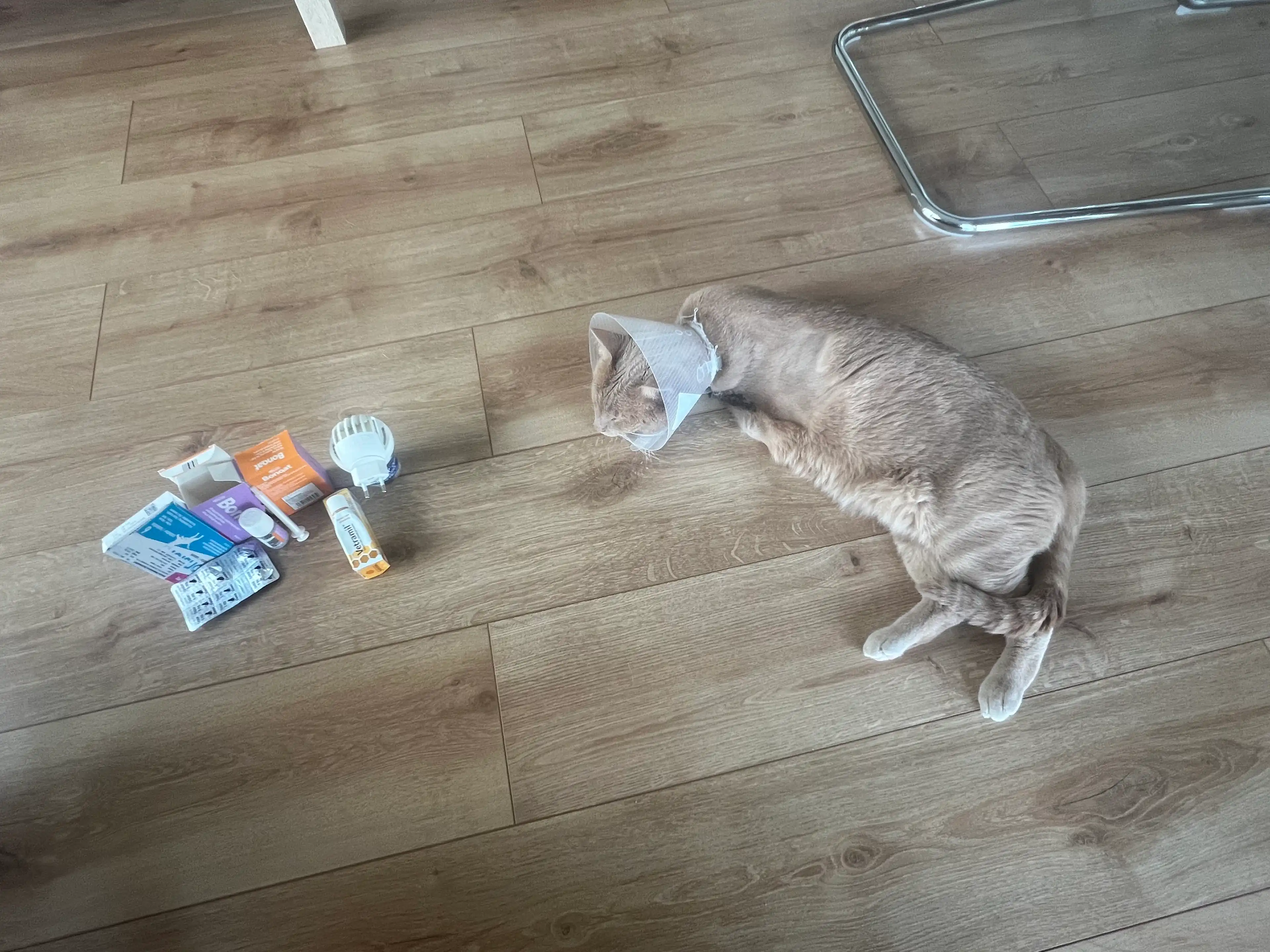 image-10