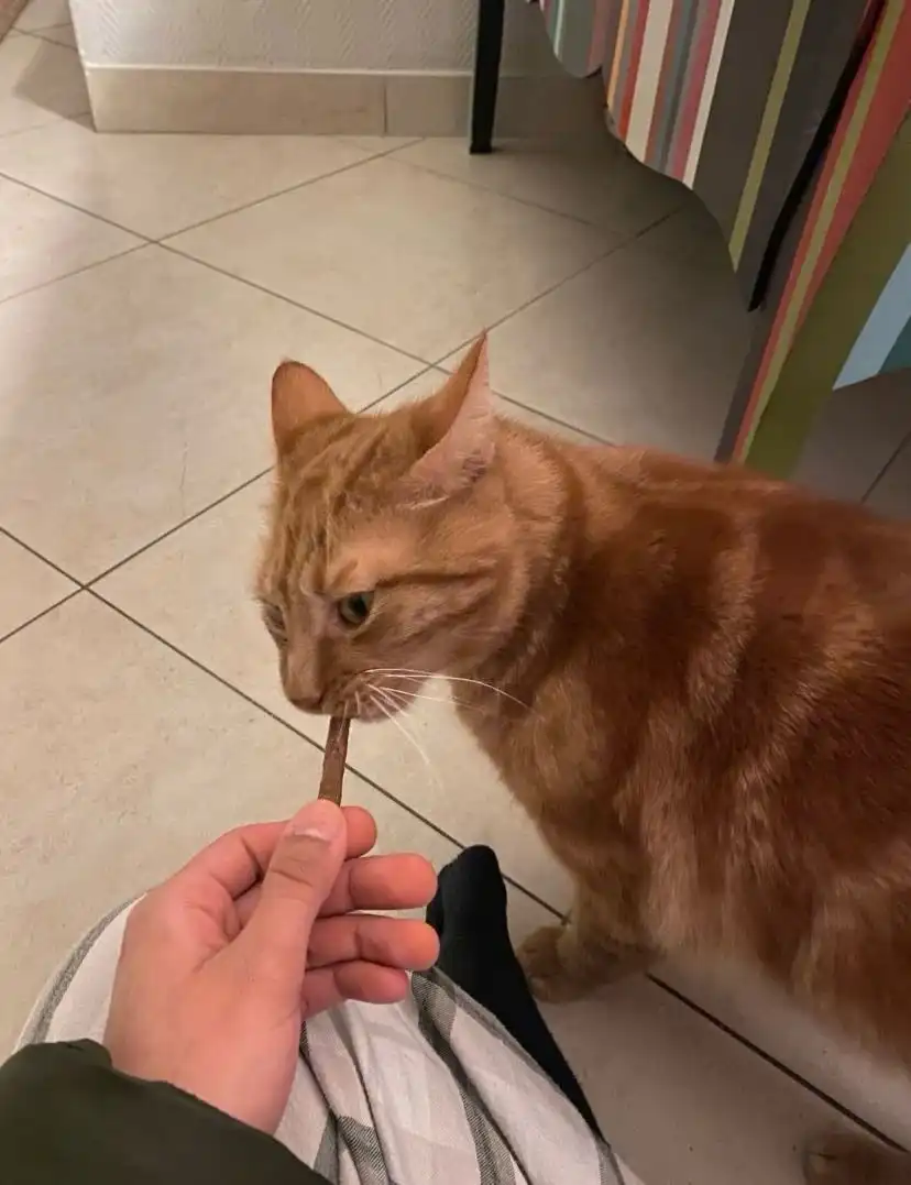 image-6