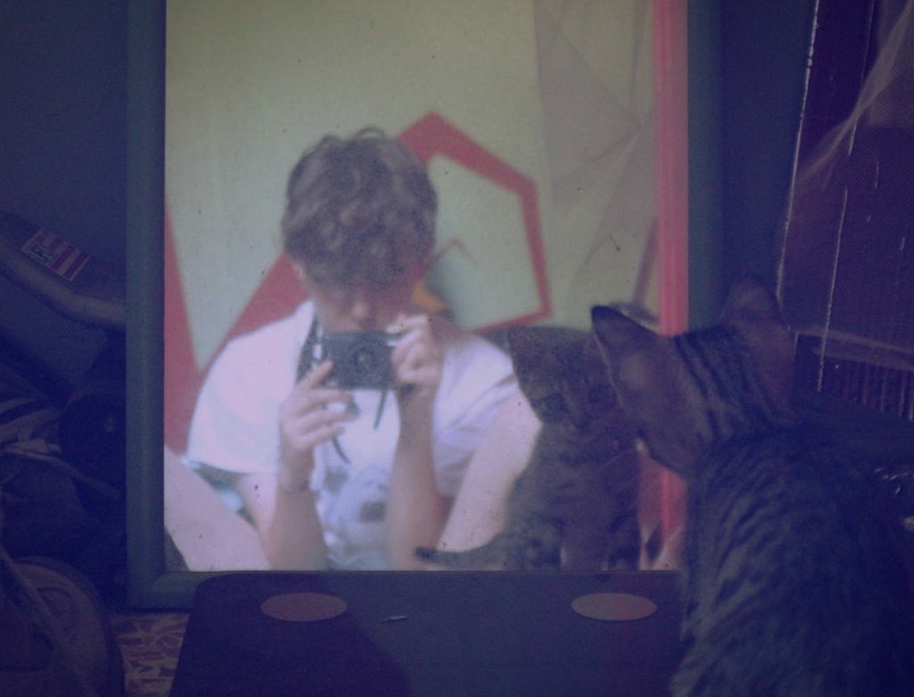 image-2