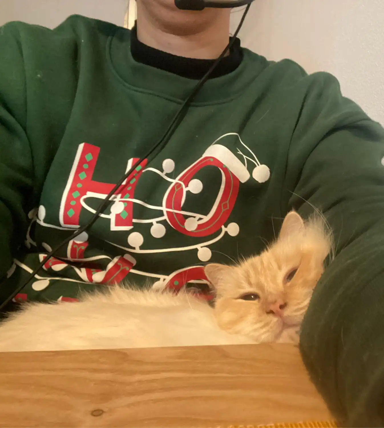 image-5