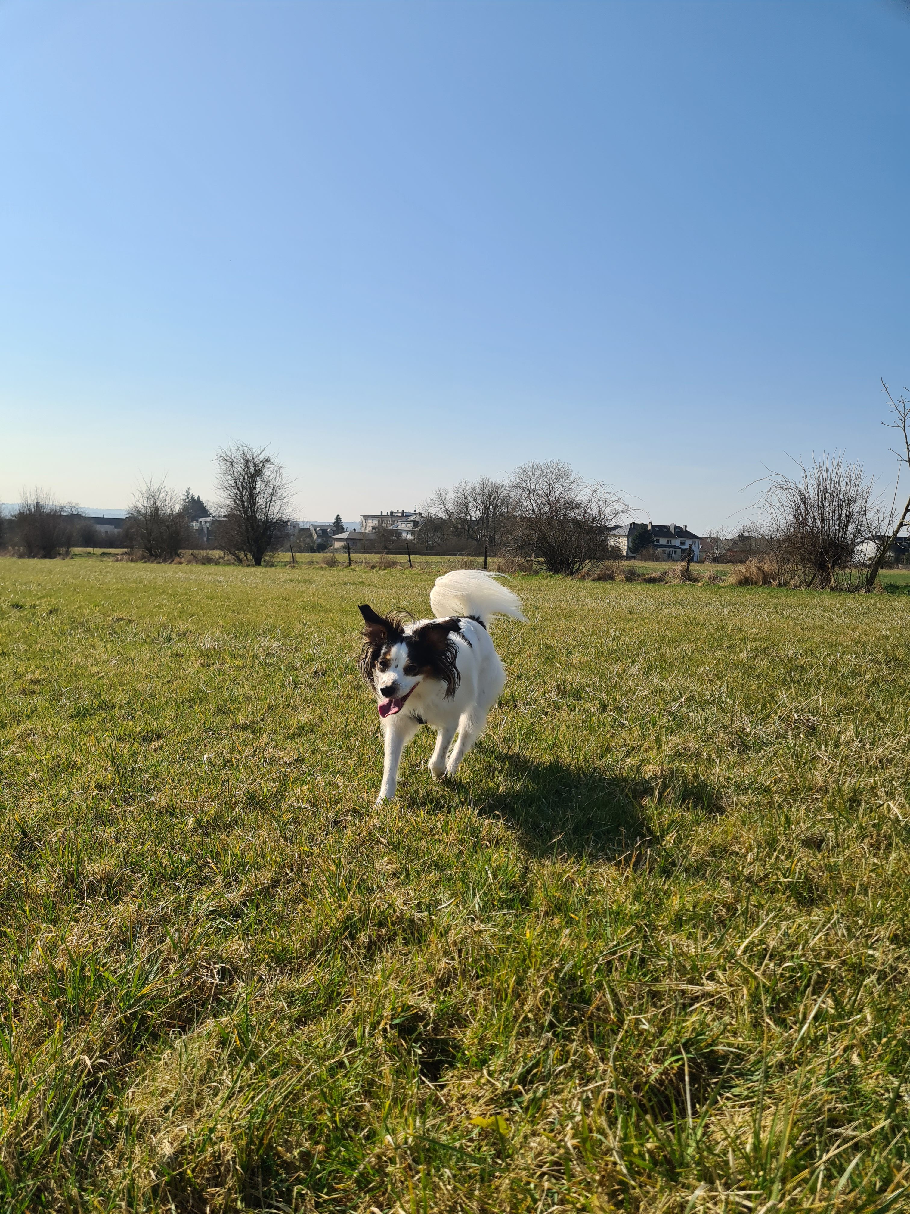 image-21