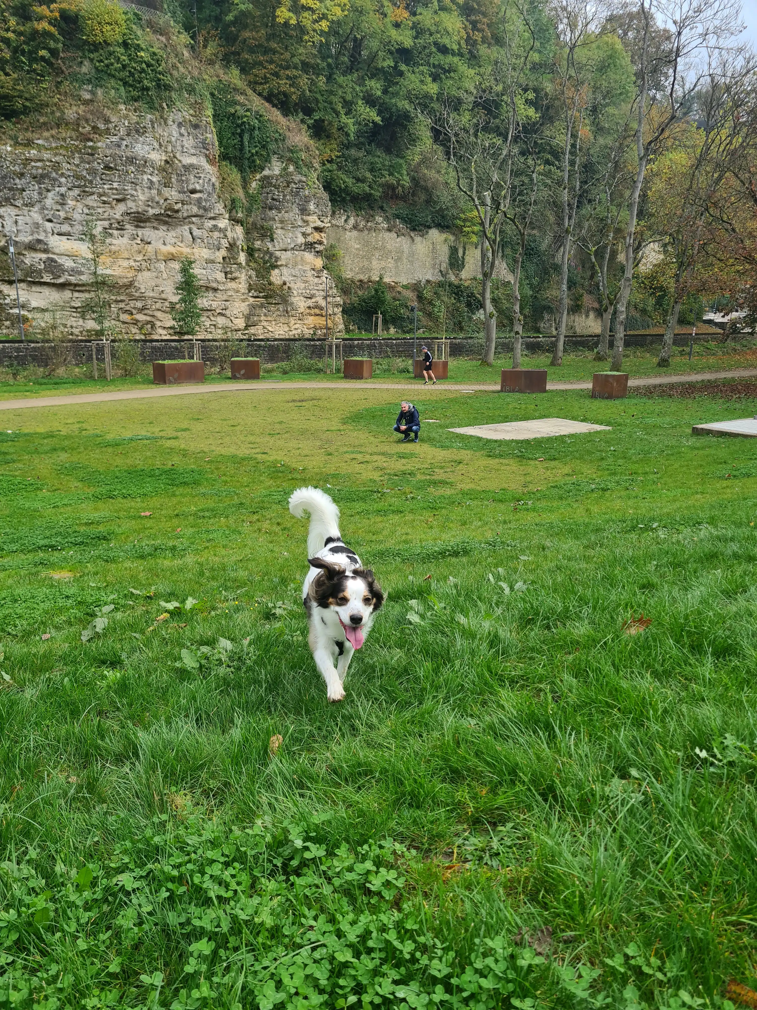 image-5