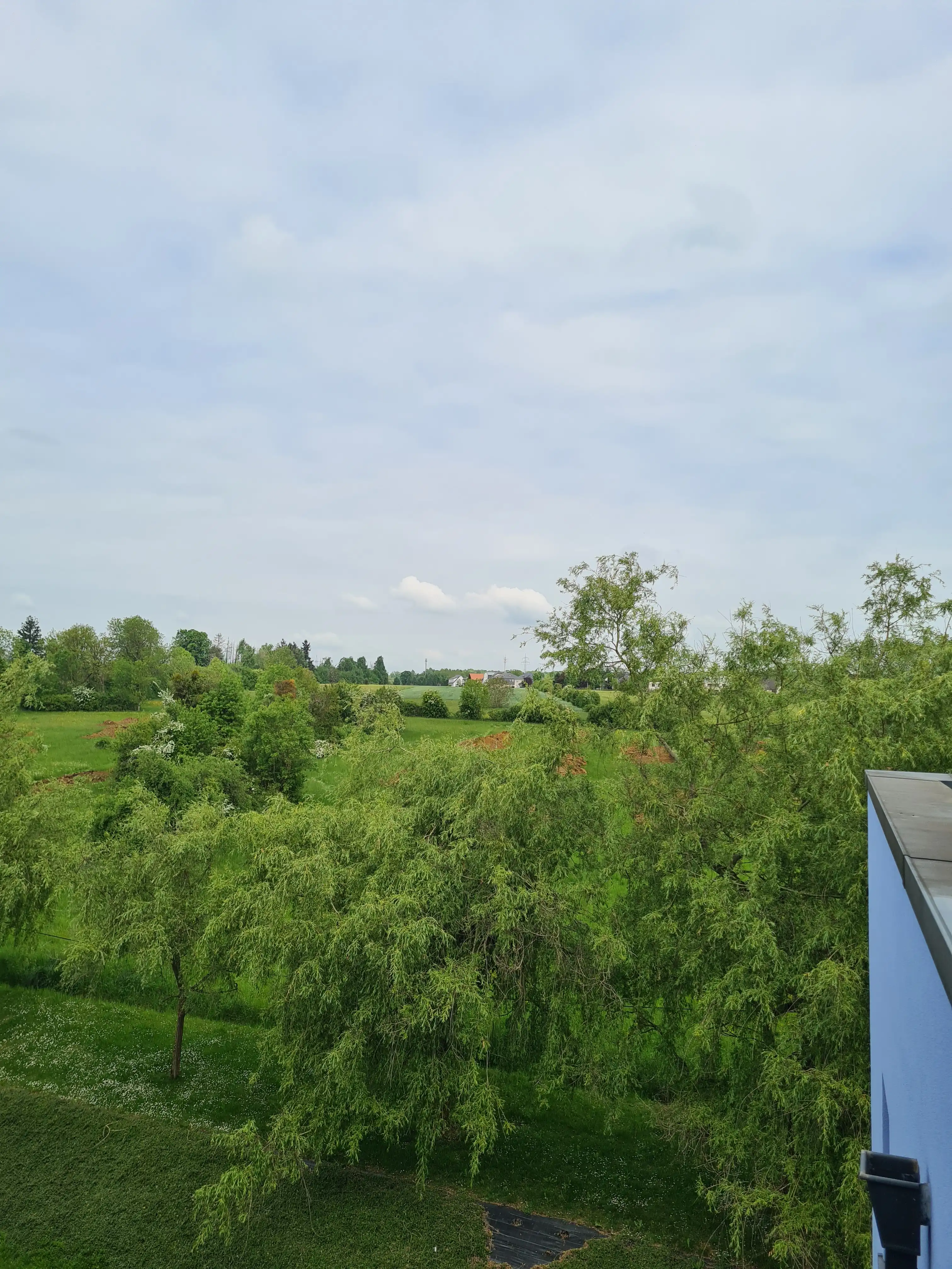 image-19