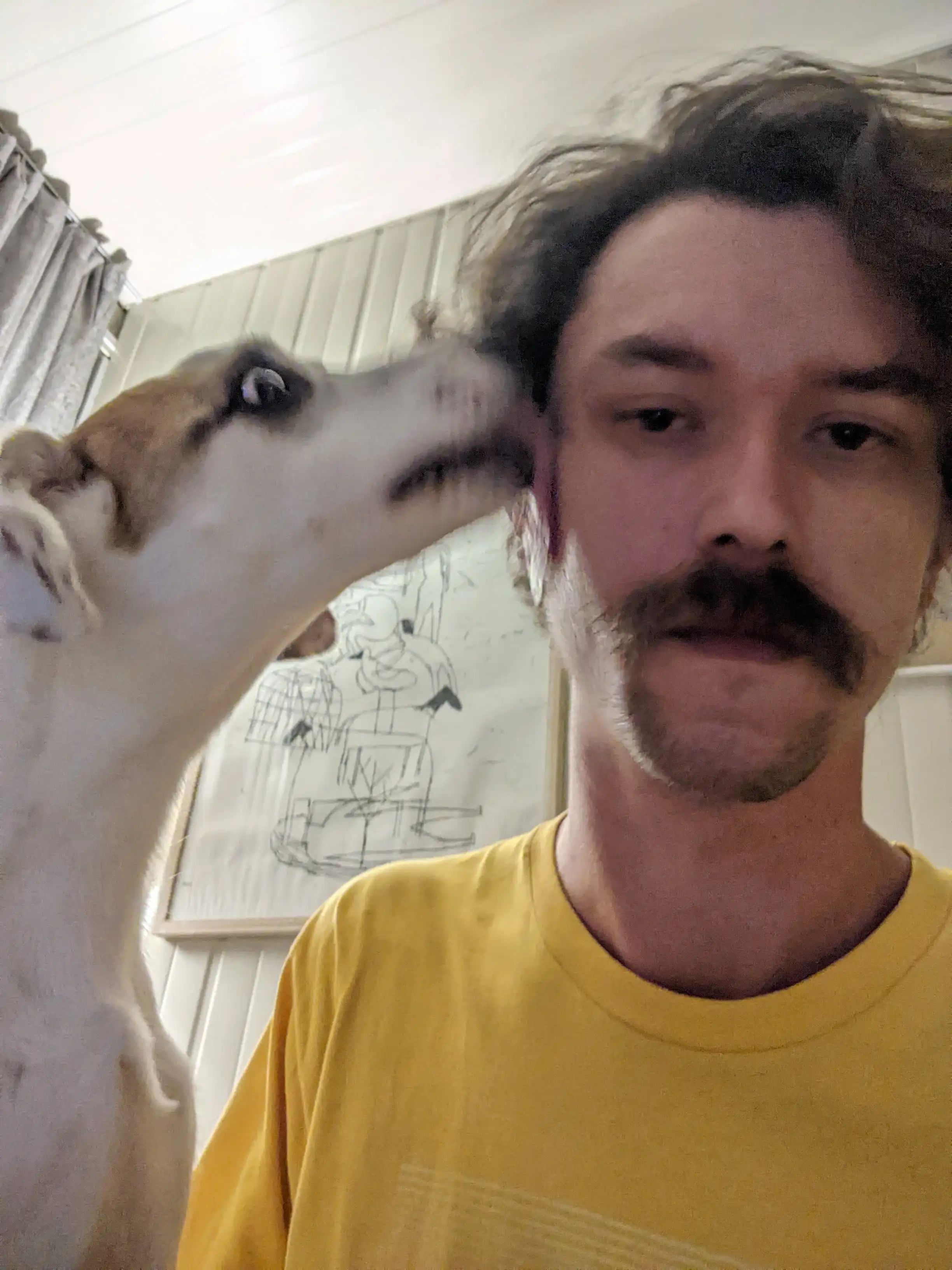 image-6