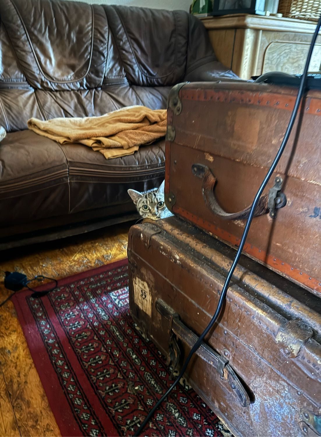 image-19