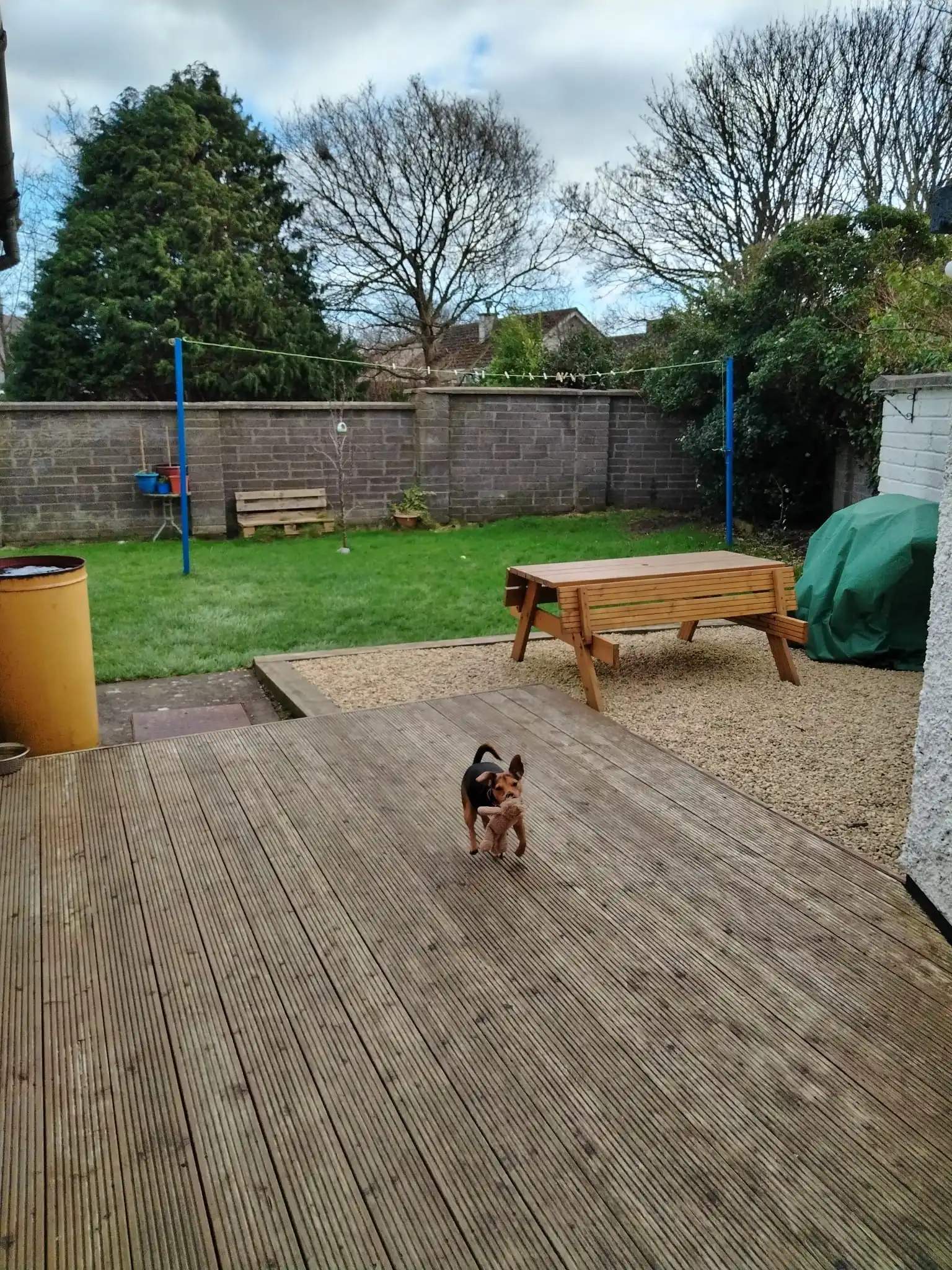 Dog Grooming Beth's Mad About Dogs Guide To Oatmeal Baths For