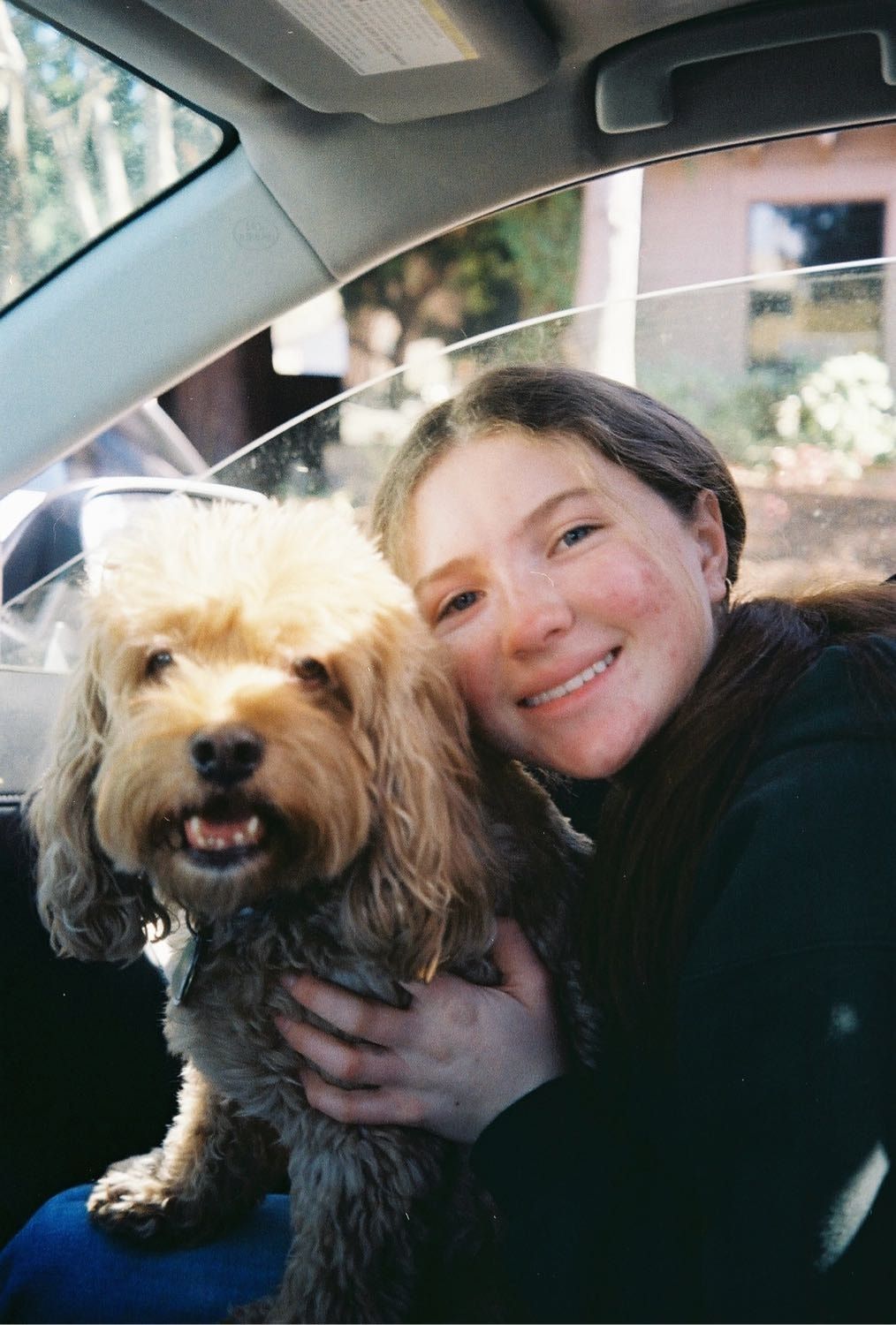 image-2