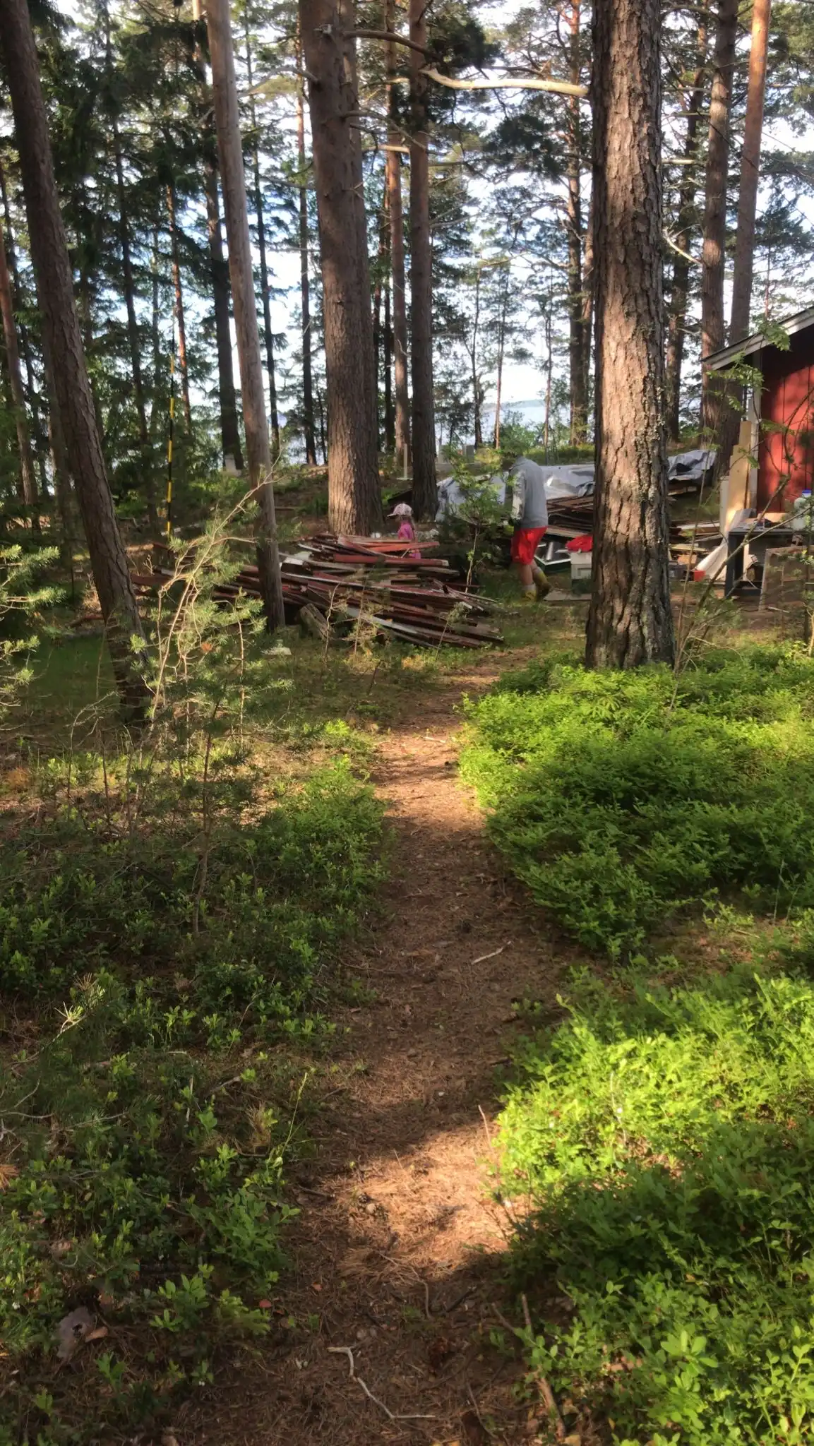 image-6