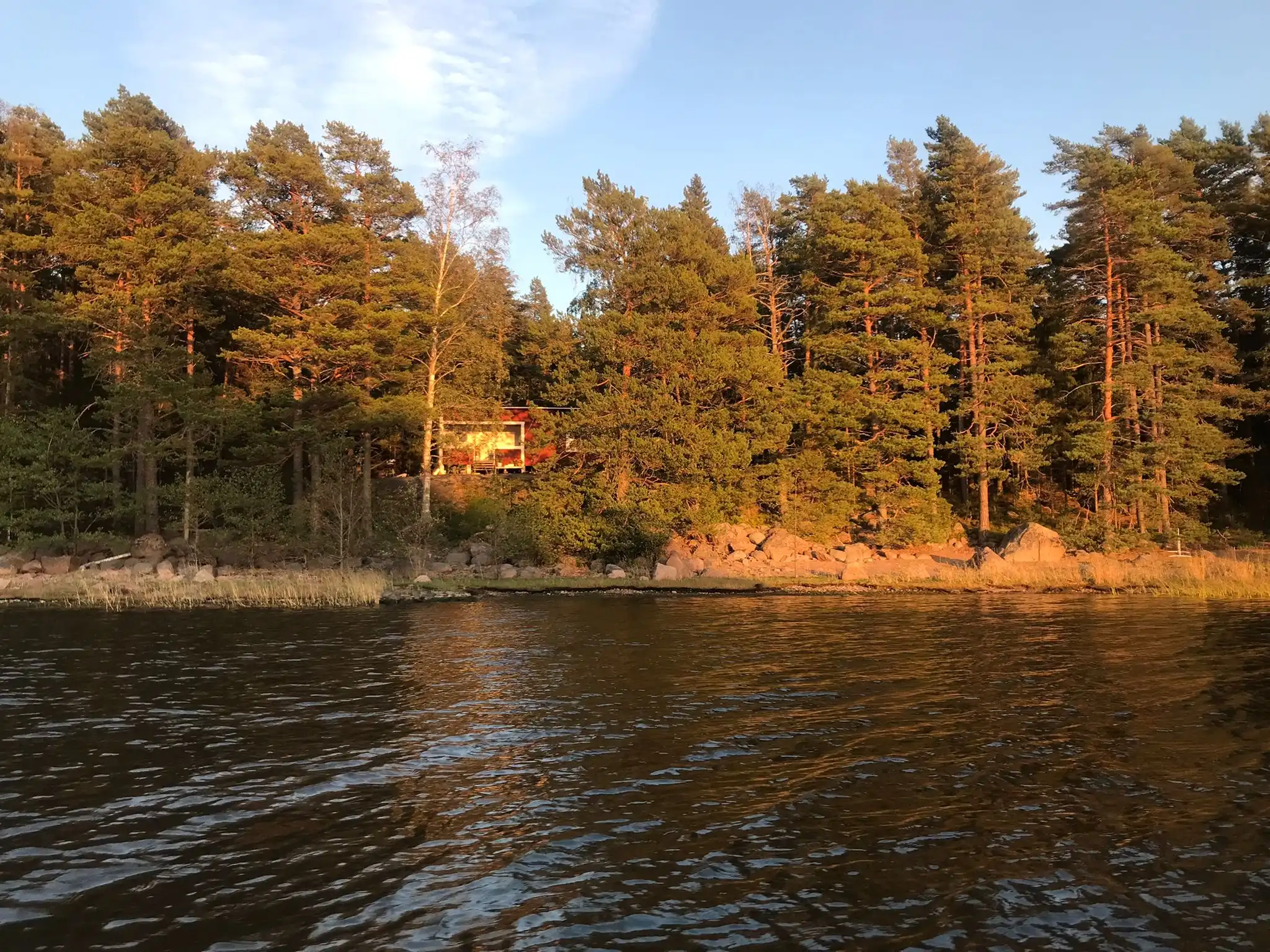 image-7