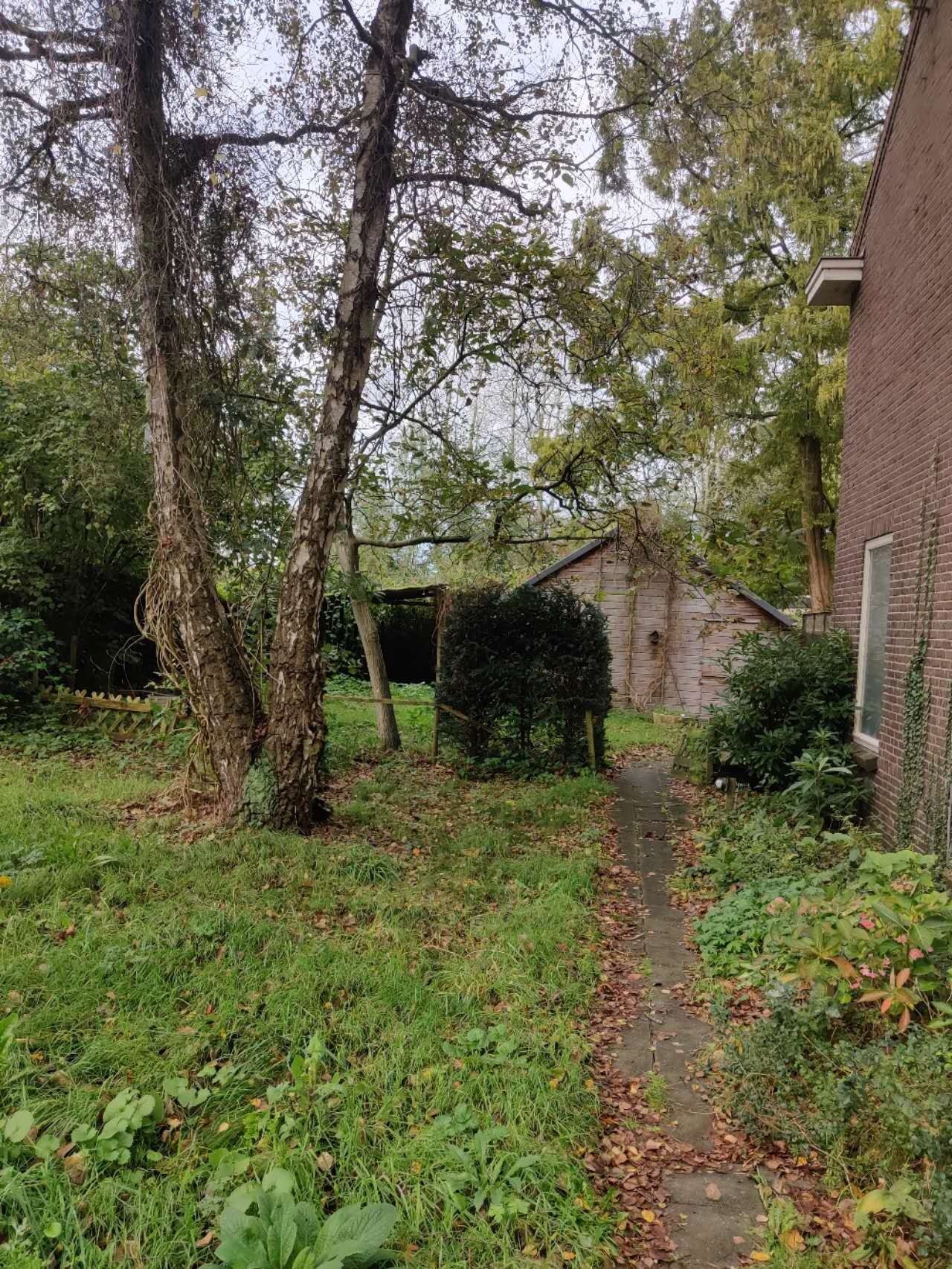 image-14