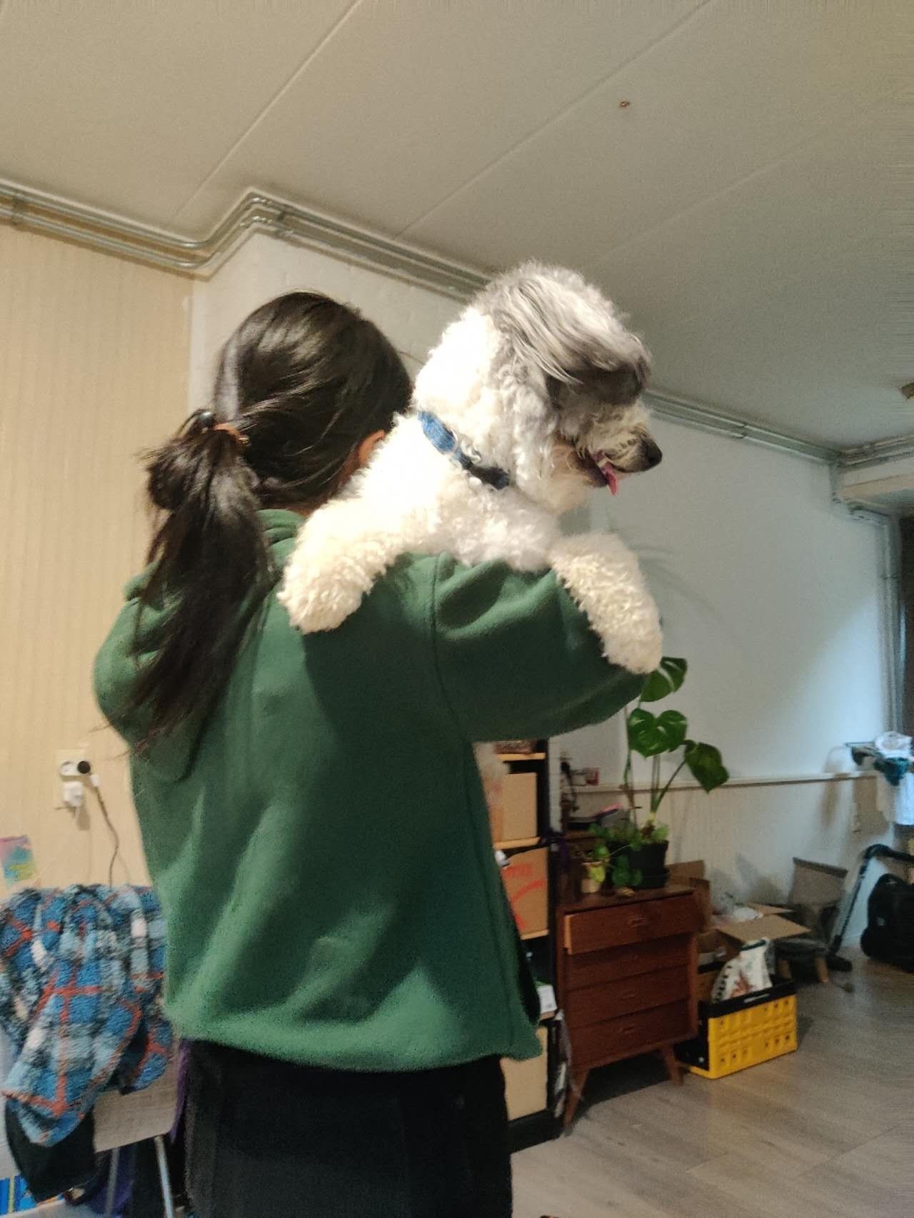 image-3