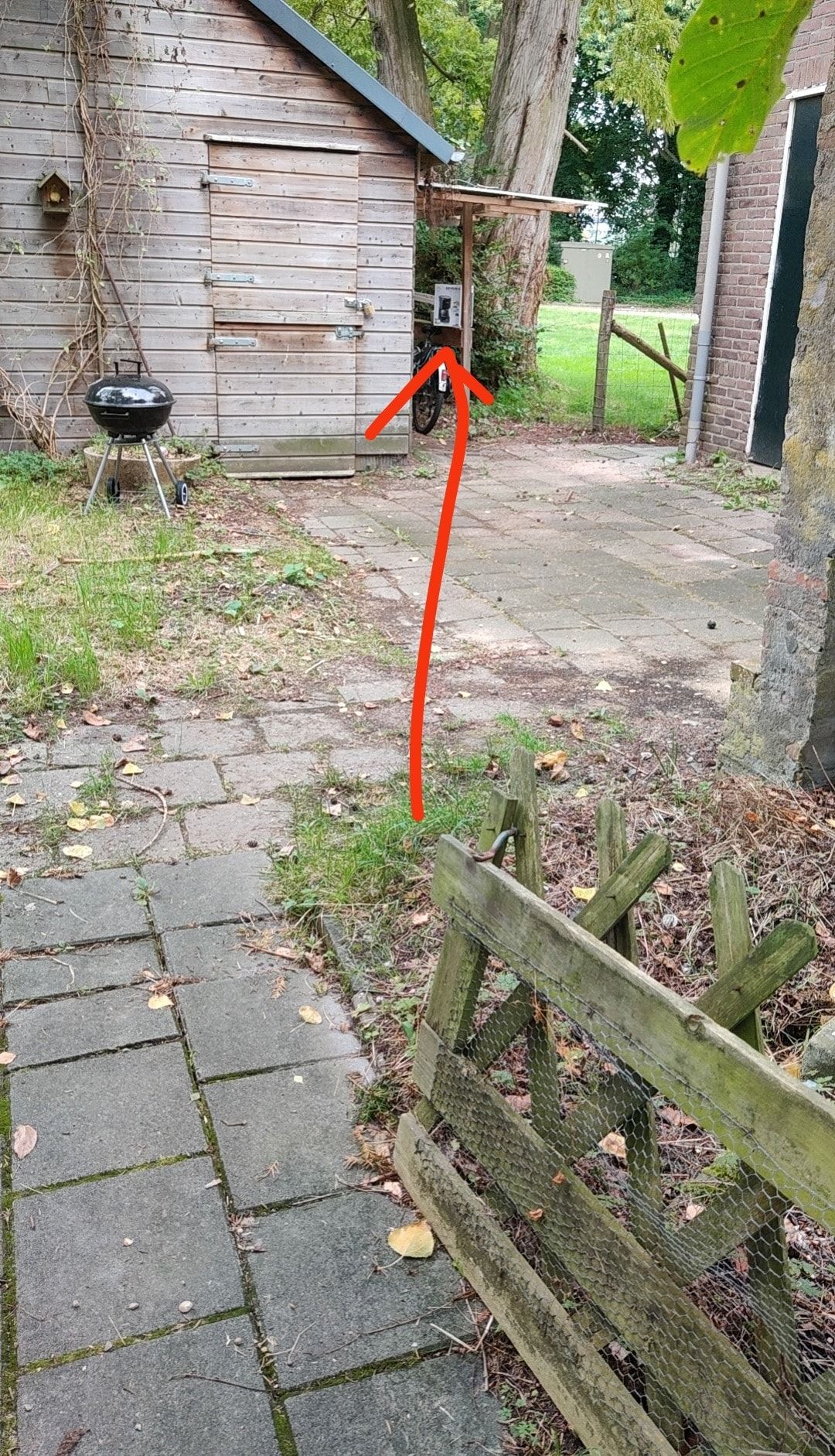 image-17