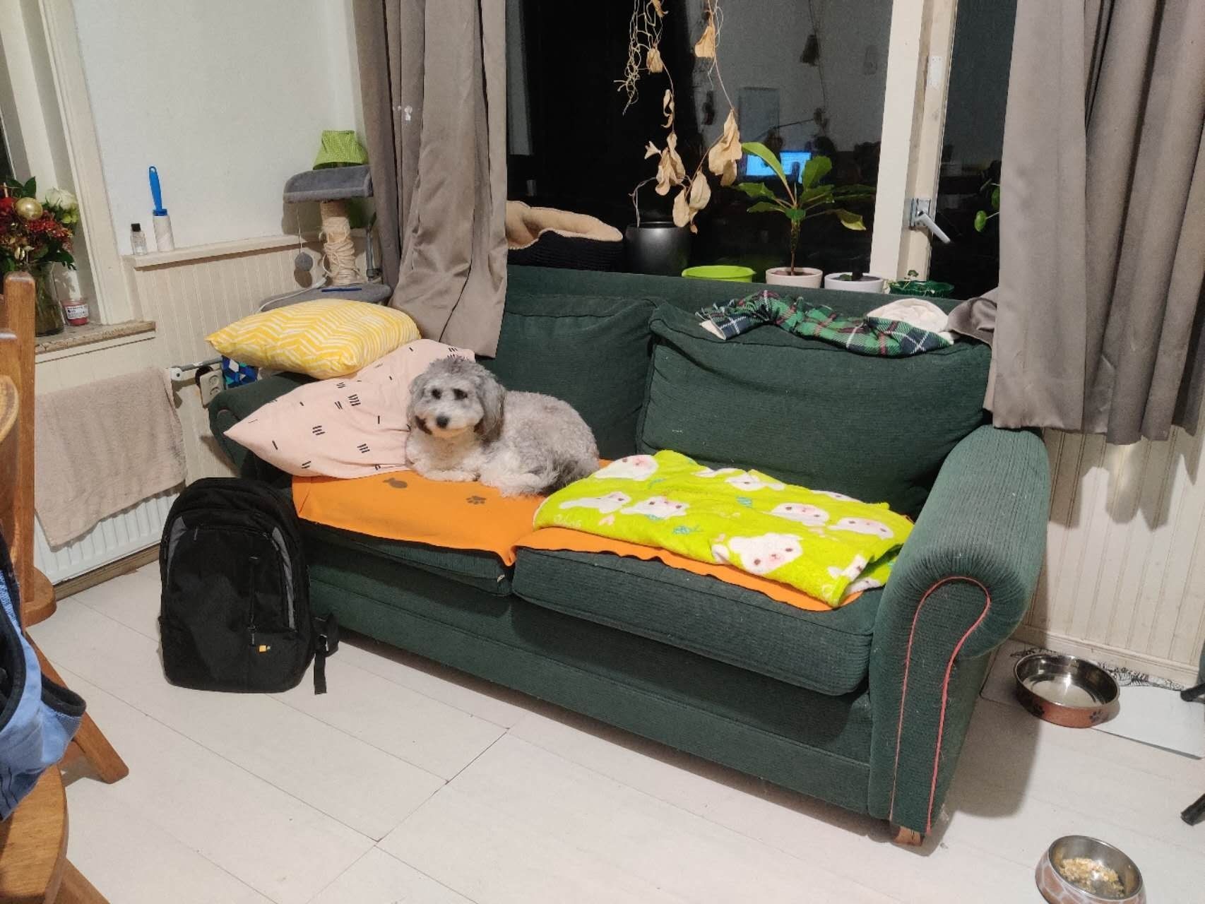 image-19