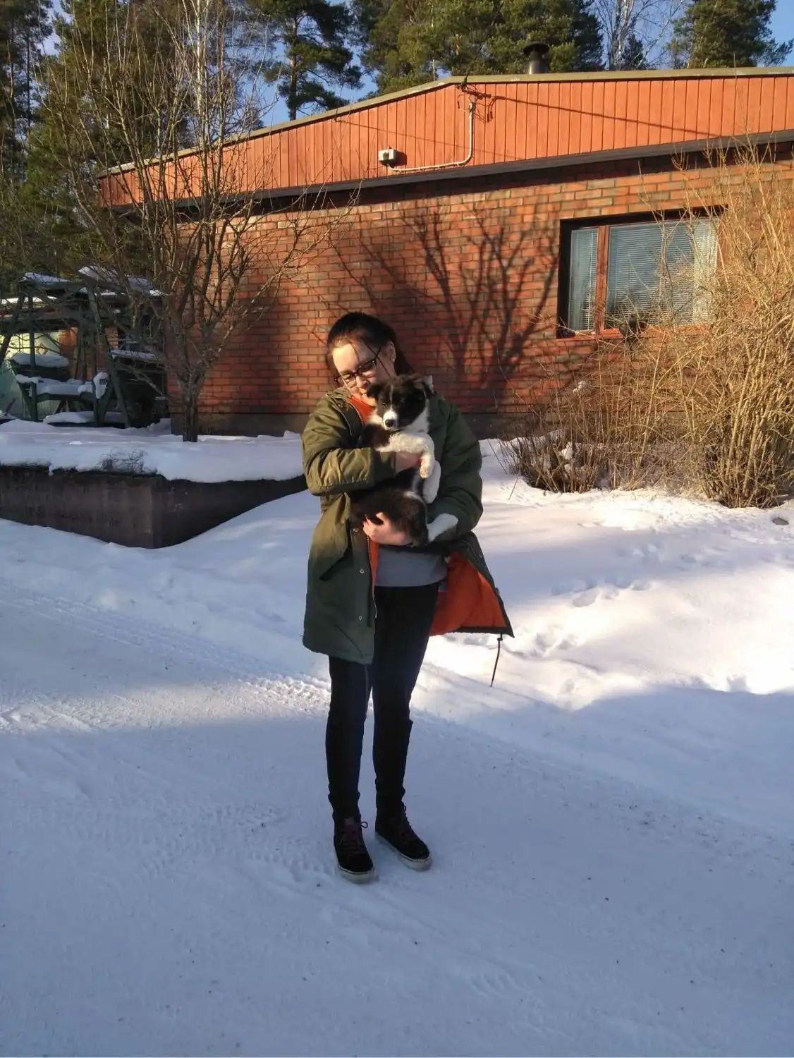 image-12