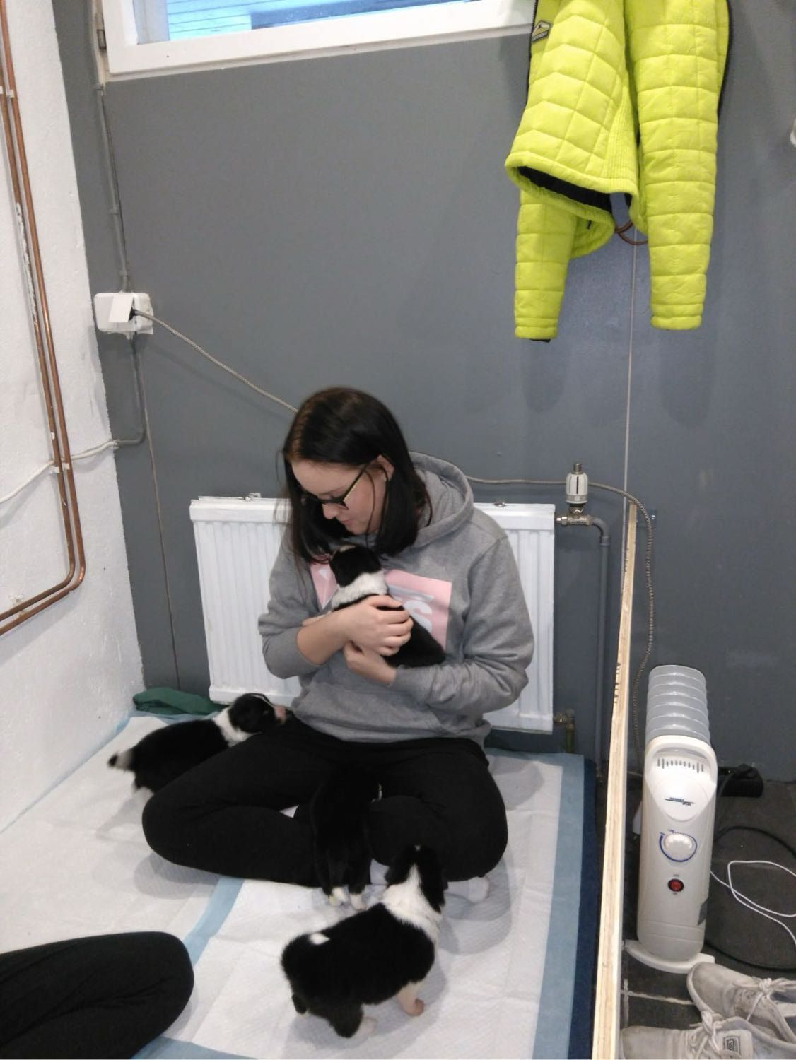 image-13