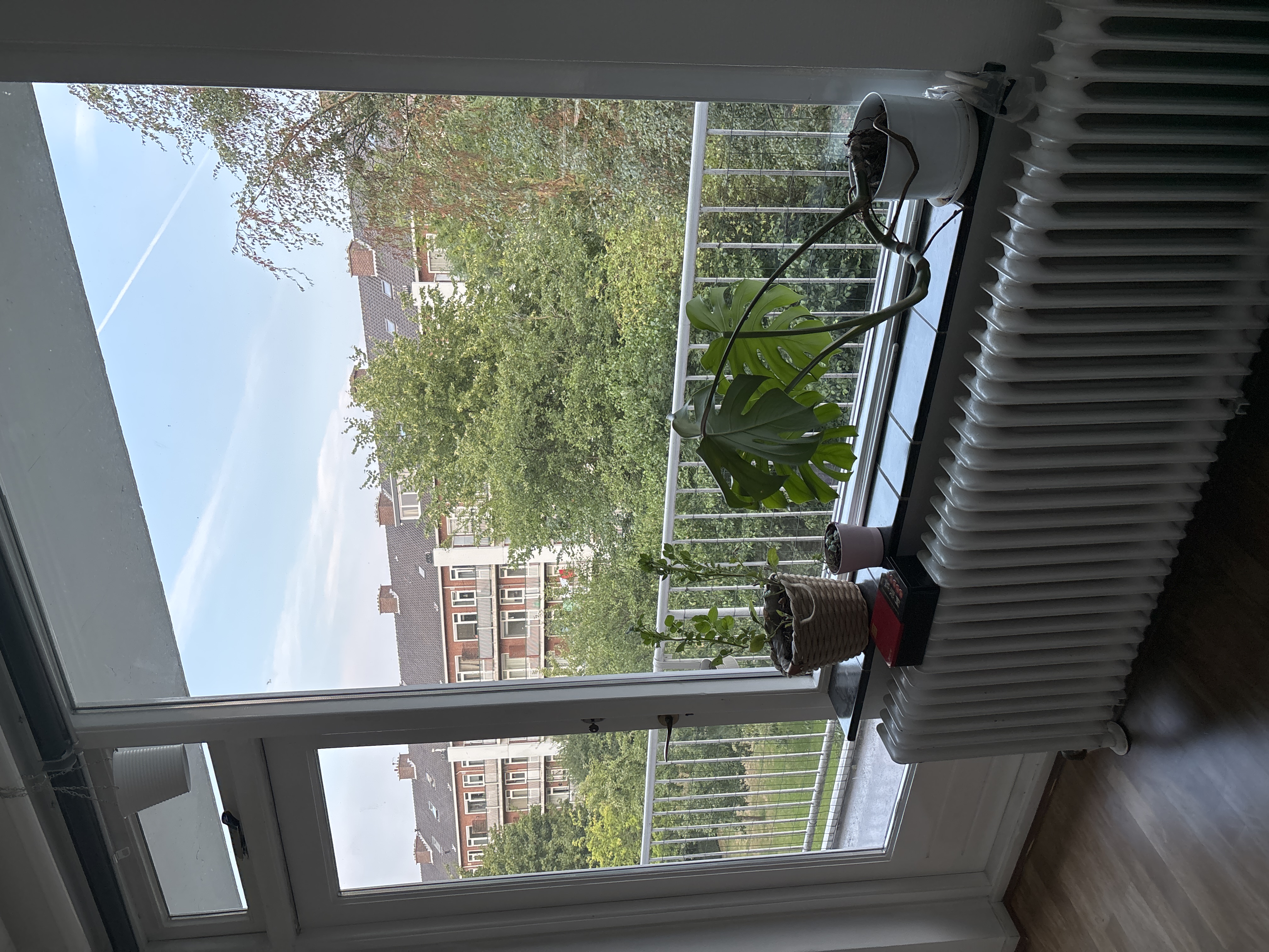 image-17