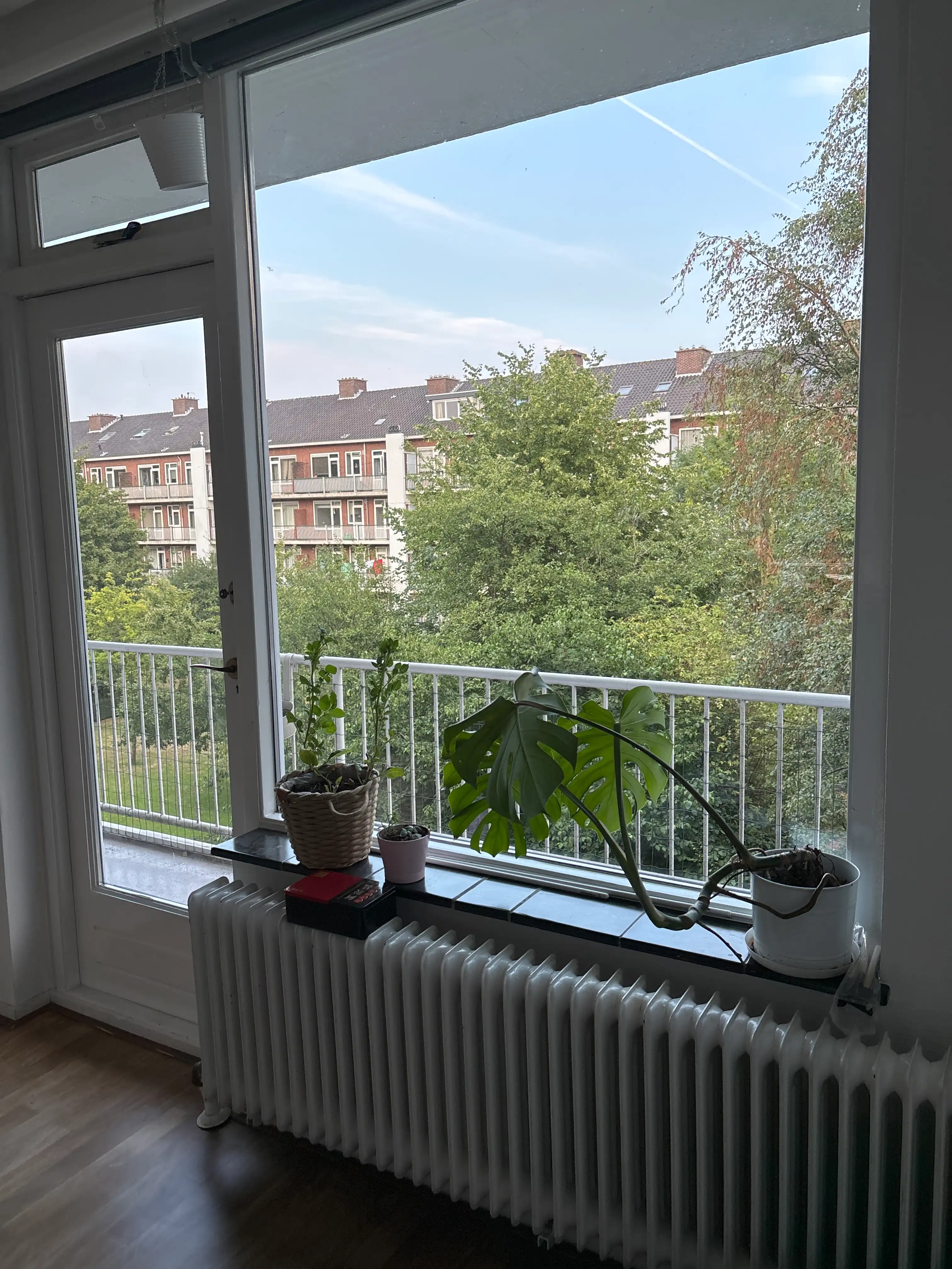 image-17