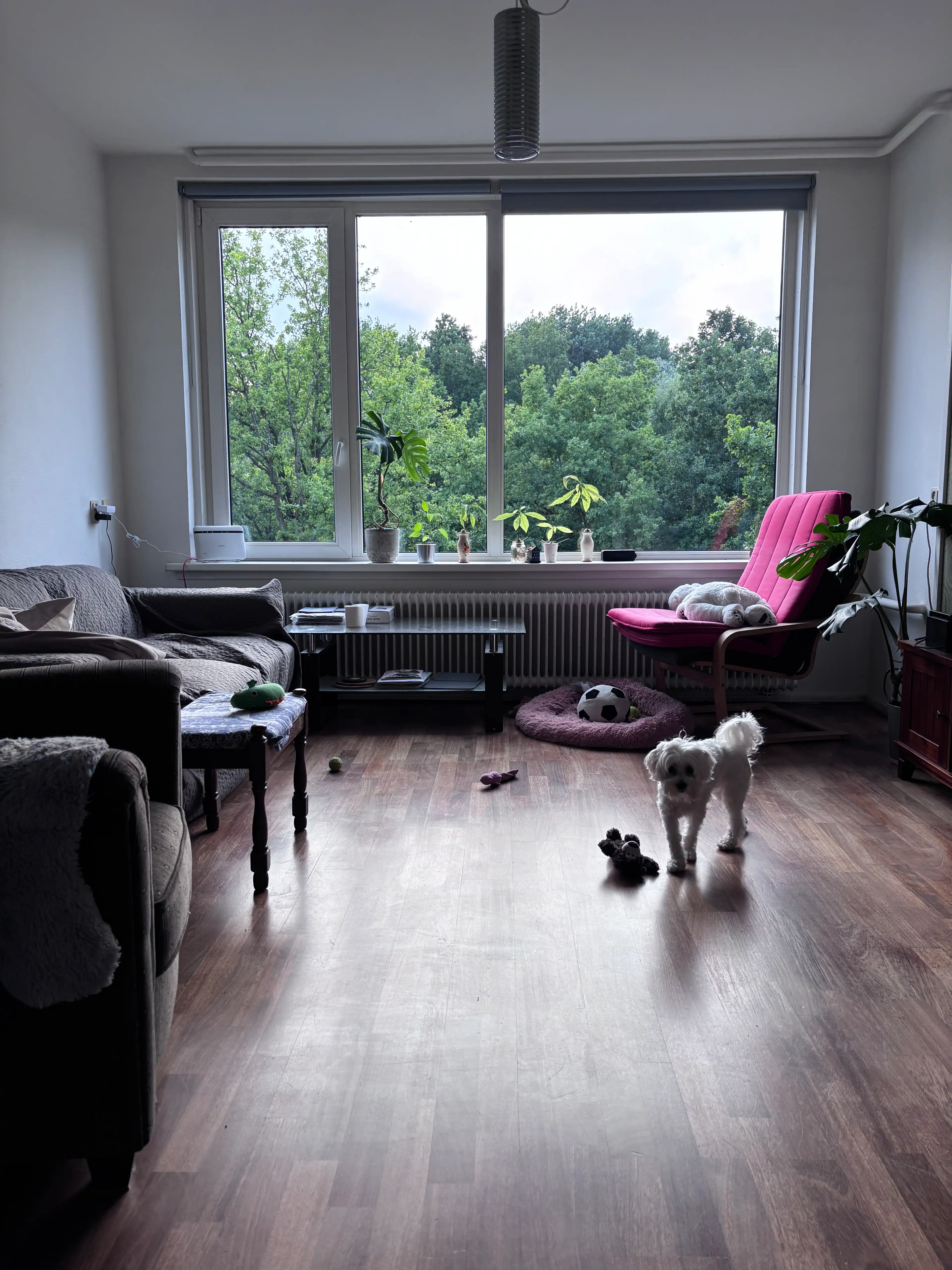 image-14