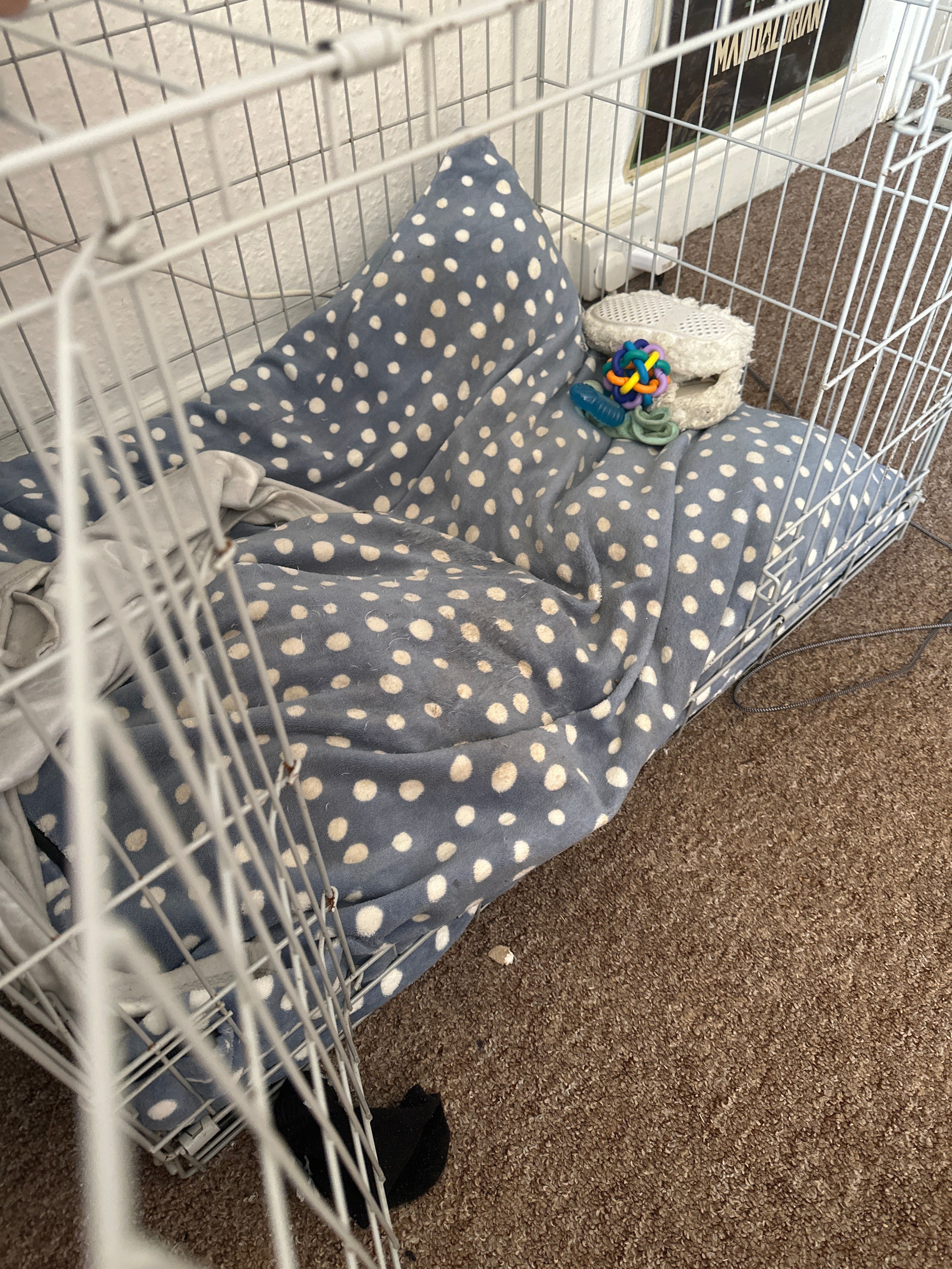 image-15
