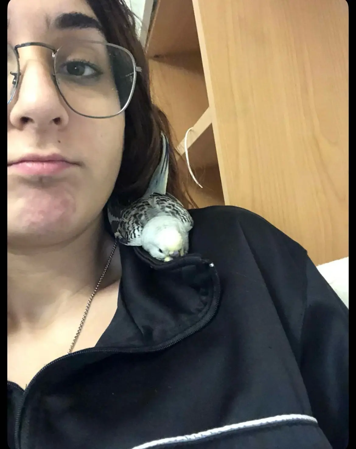 image-2