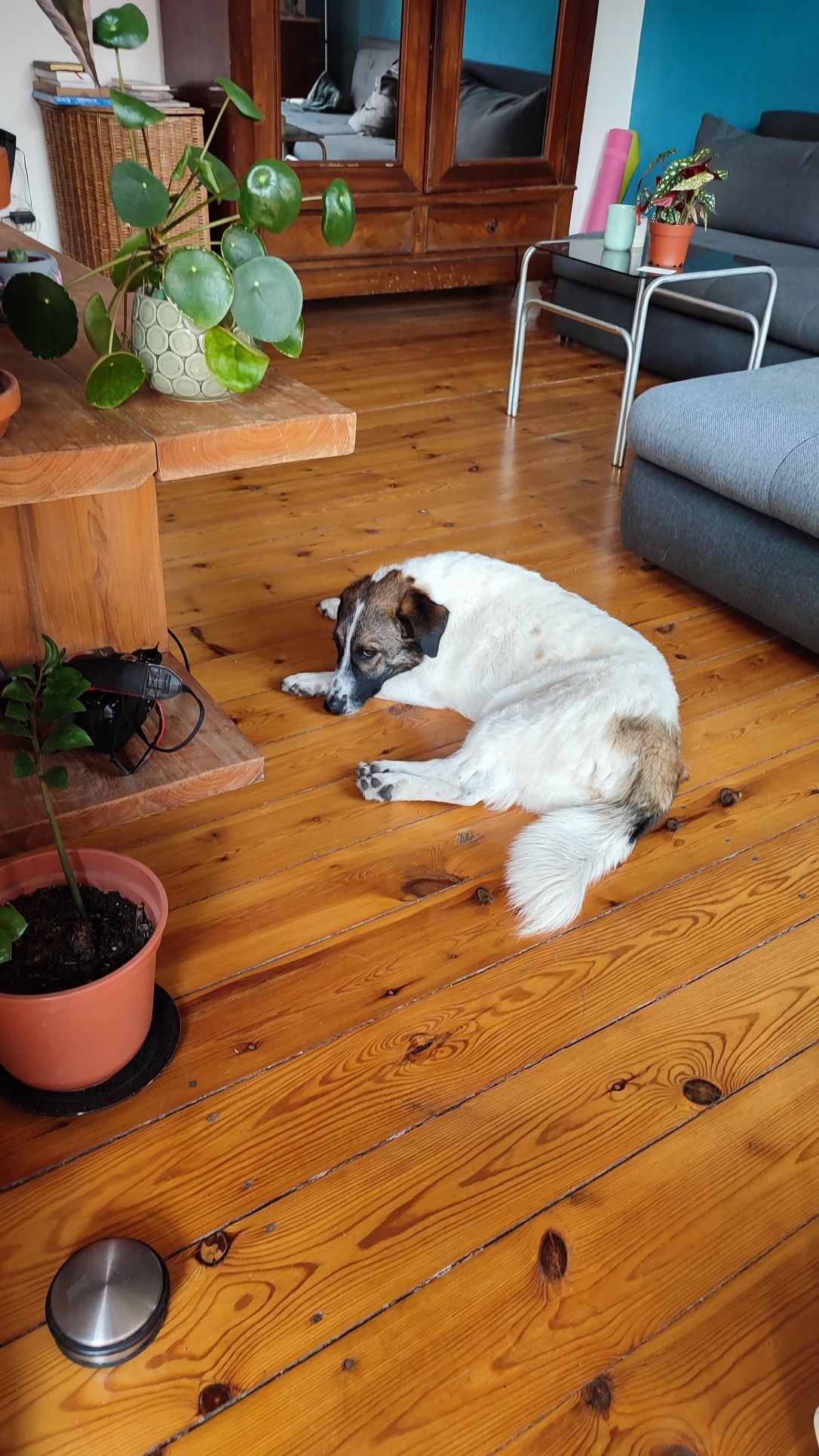 image-11