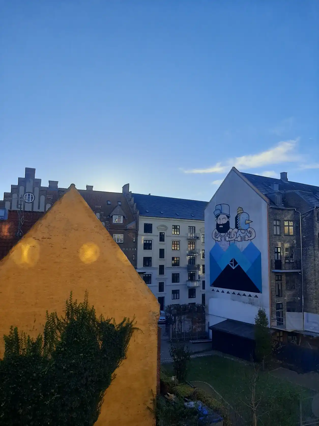 image-11