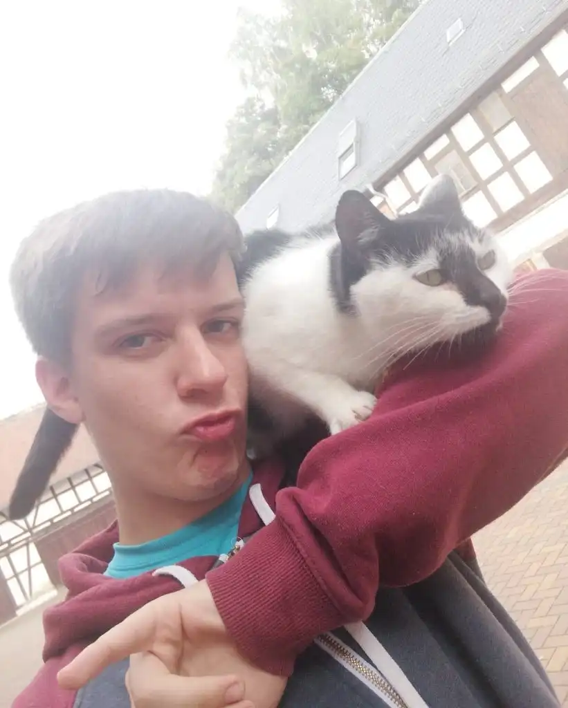 image-6