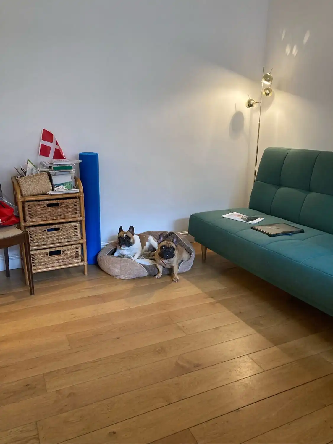 image-9