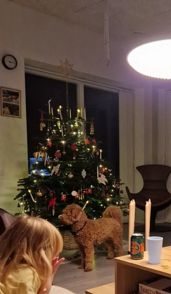 image-3