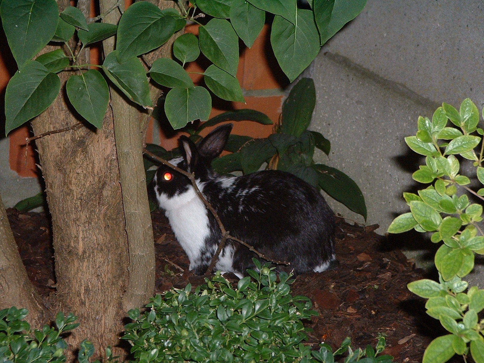 image-9