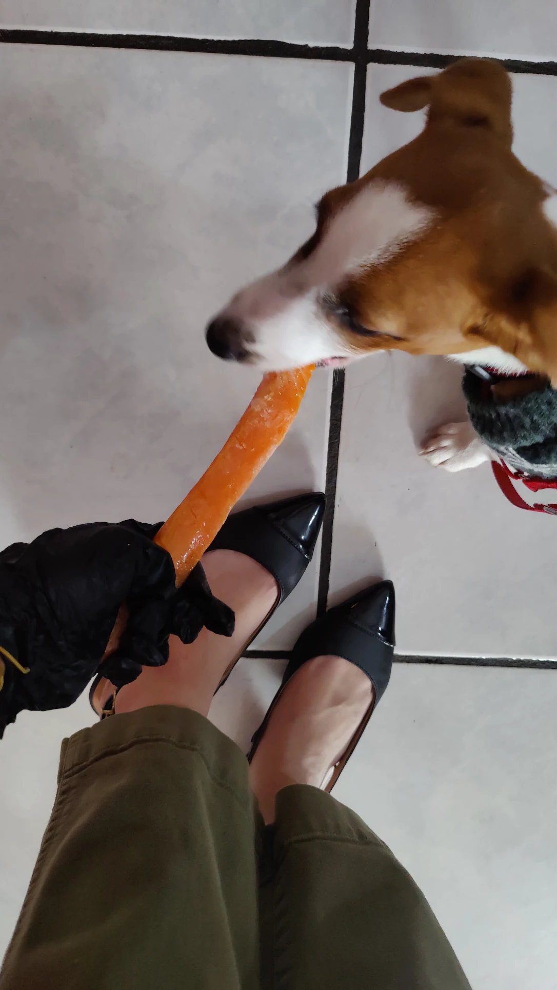 image-8