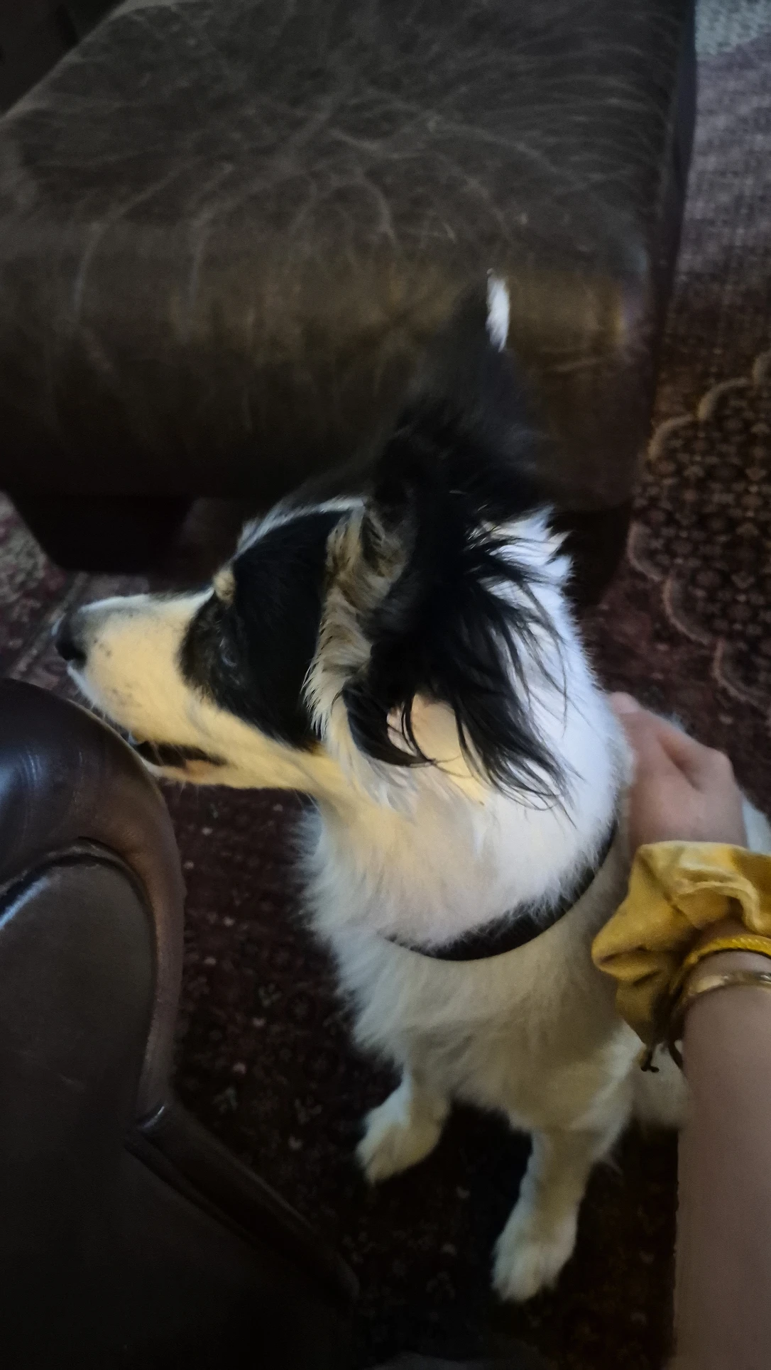 image-11