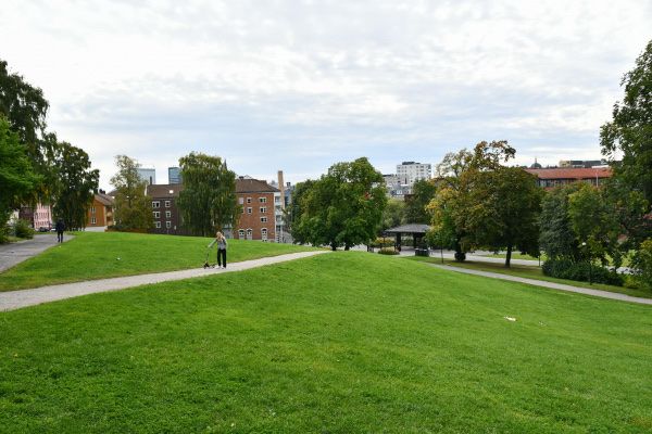 image-19