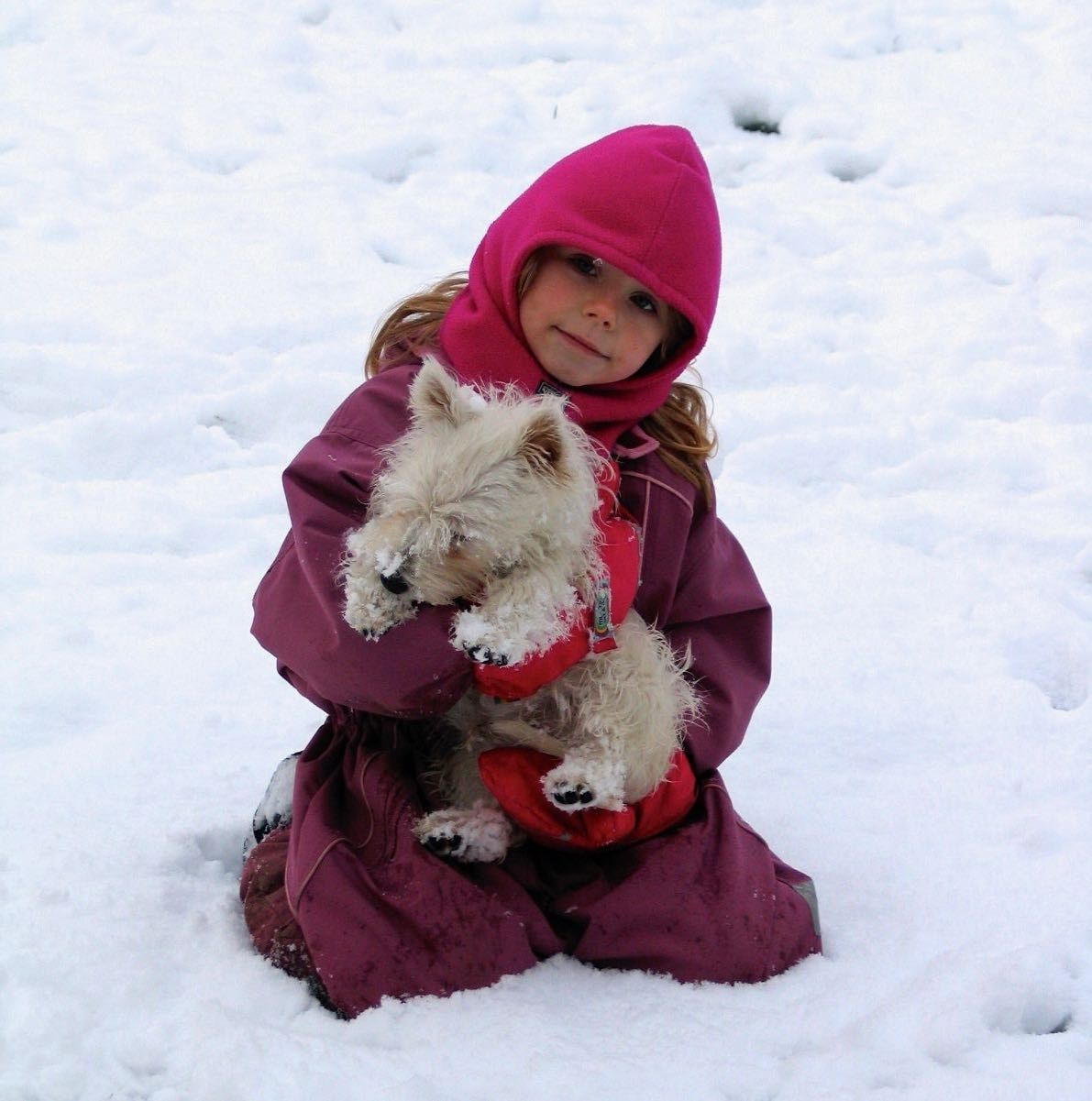 image-6