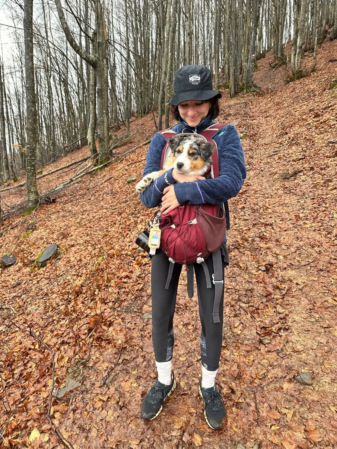 image-1