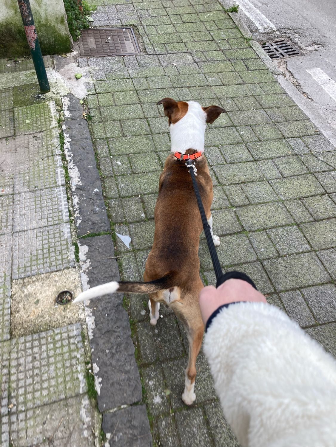 image-5
