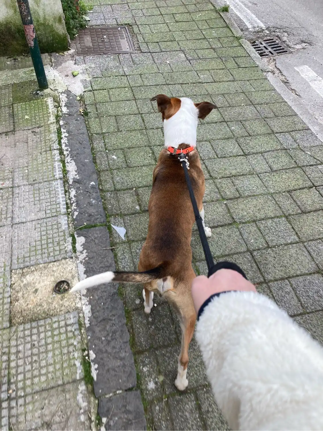 image-5
