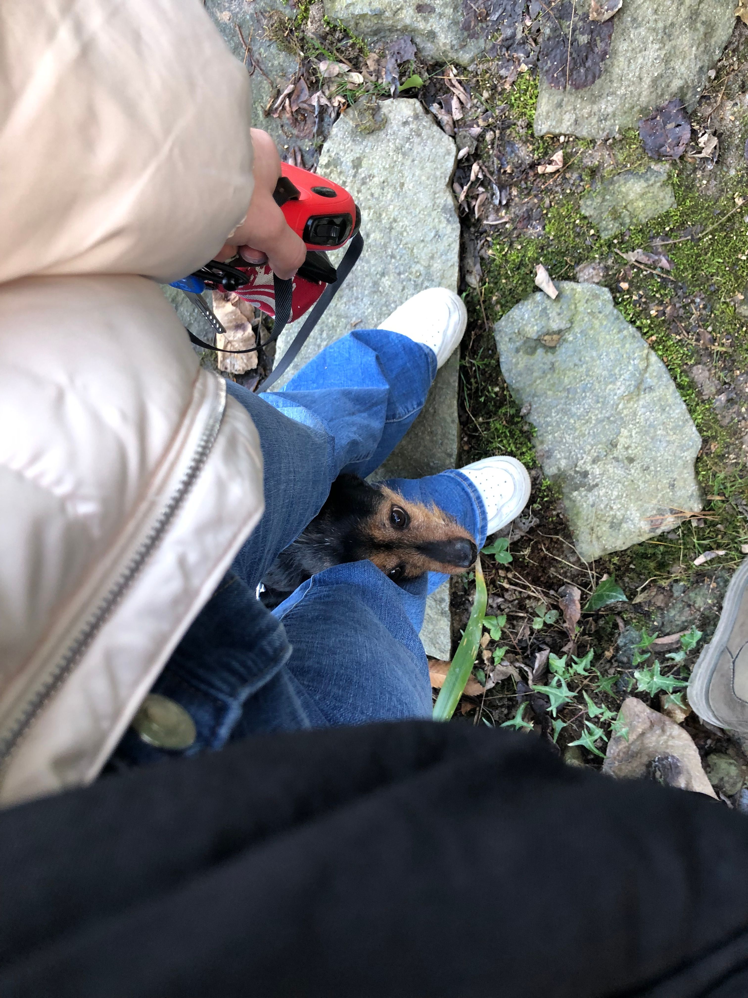image-6