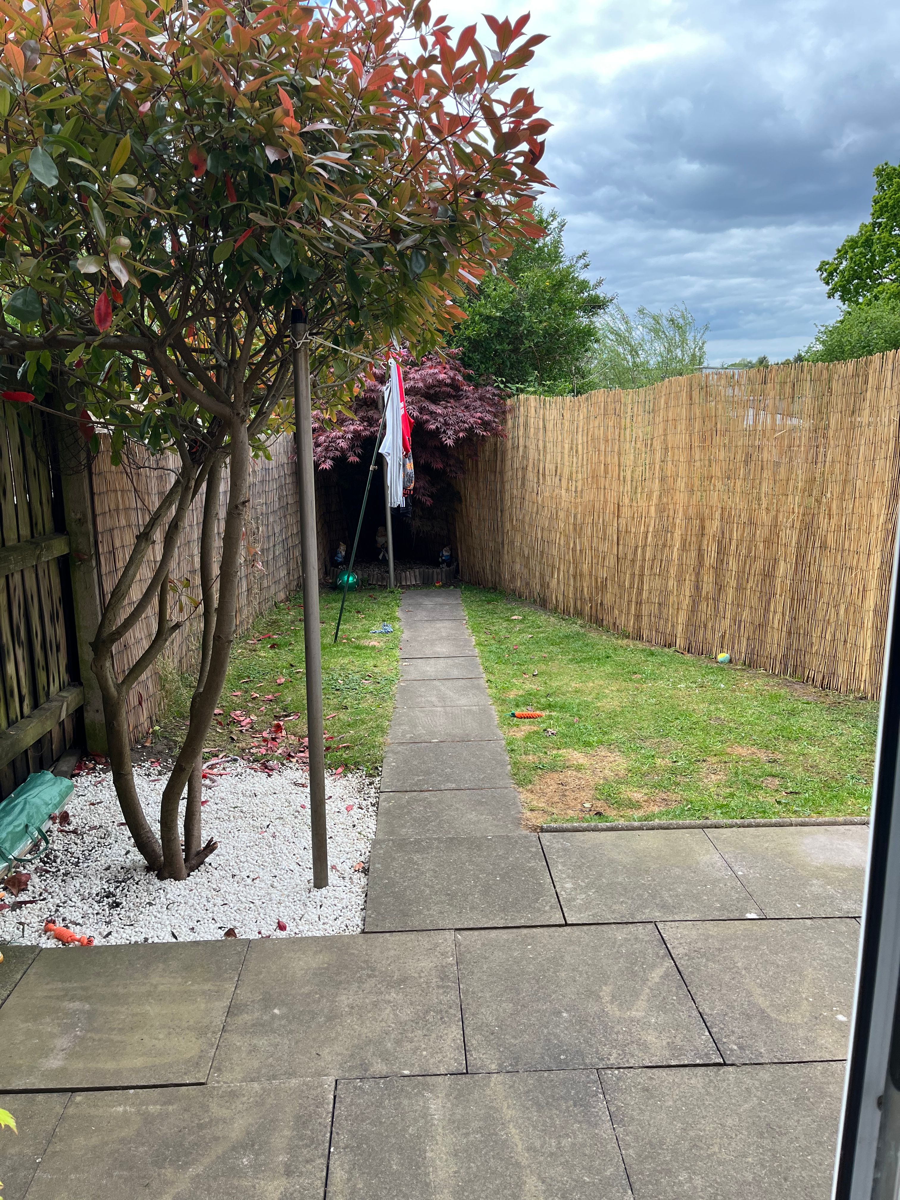 image-15