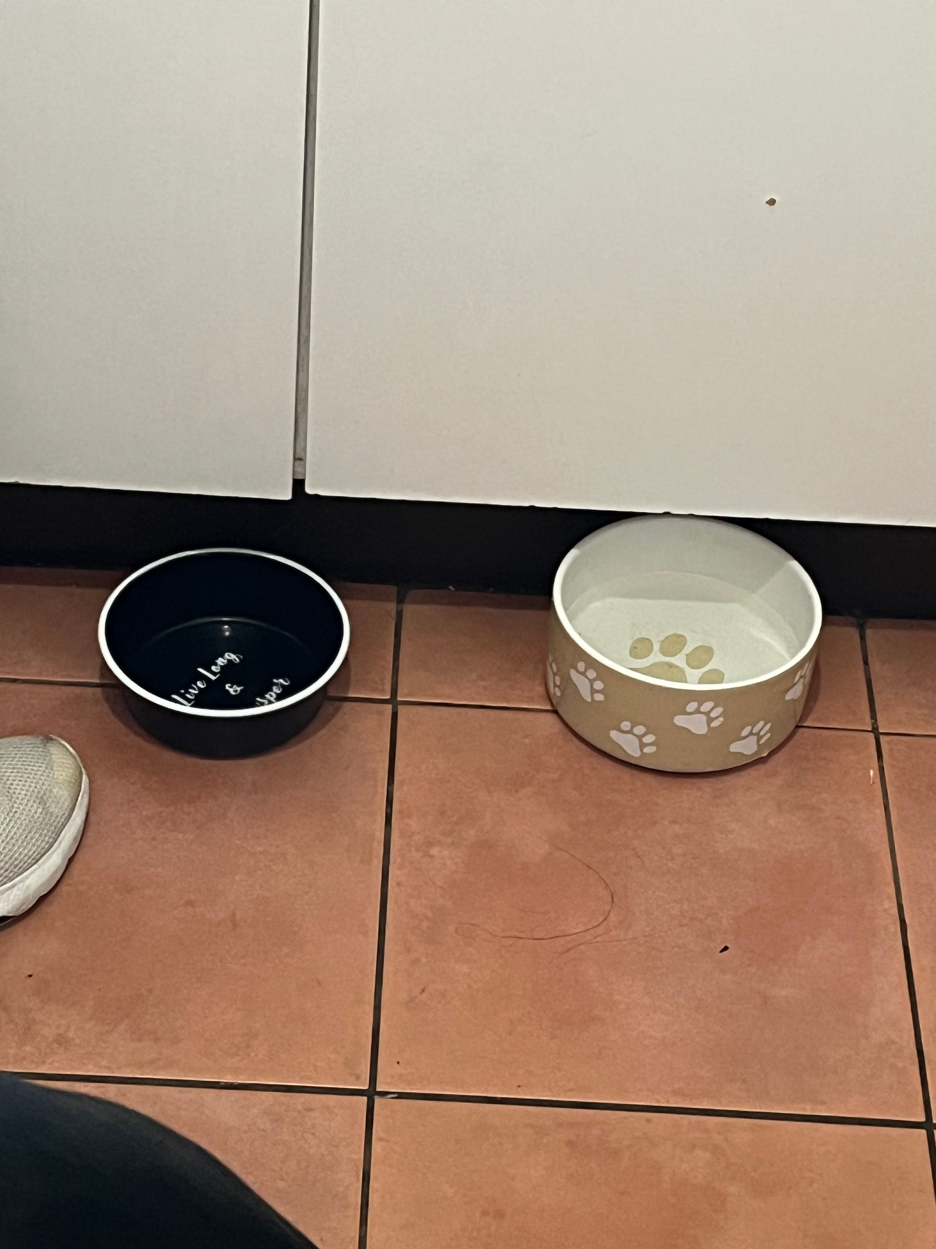 image-17