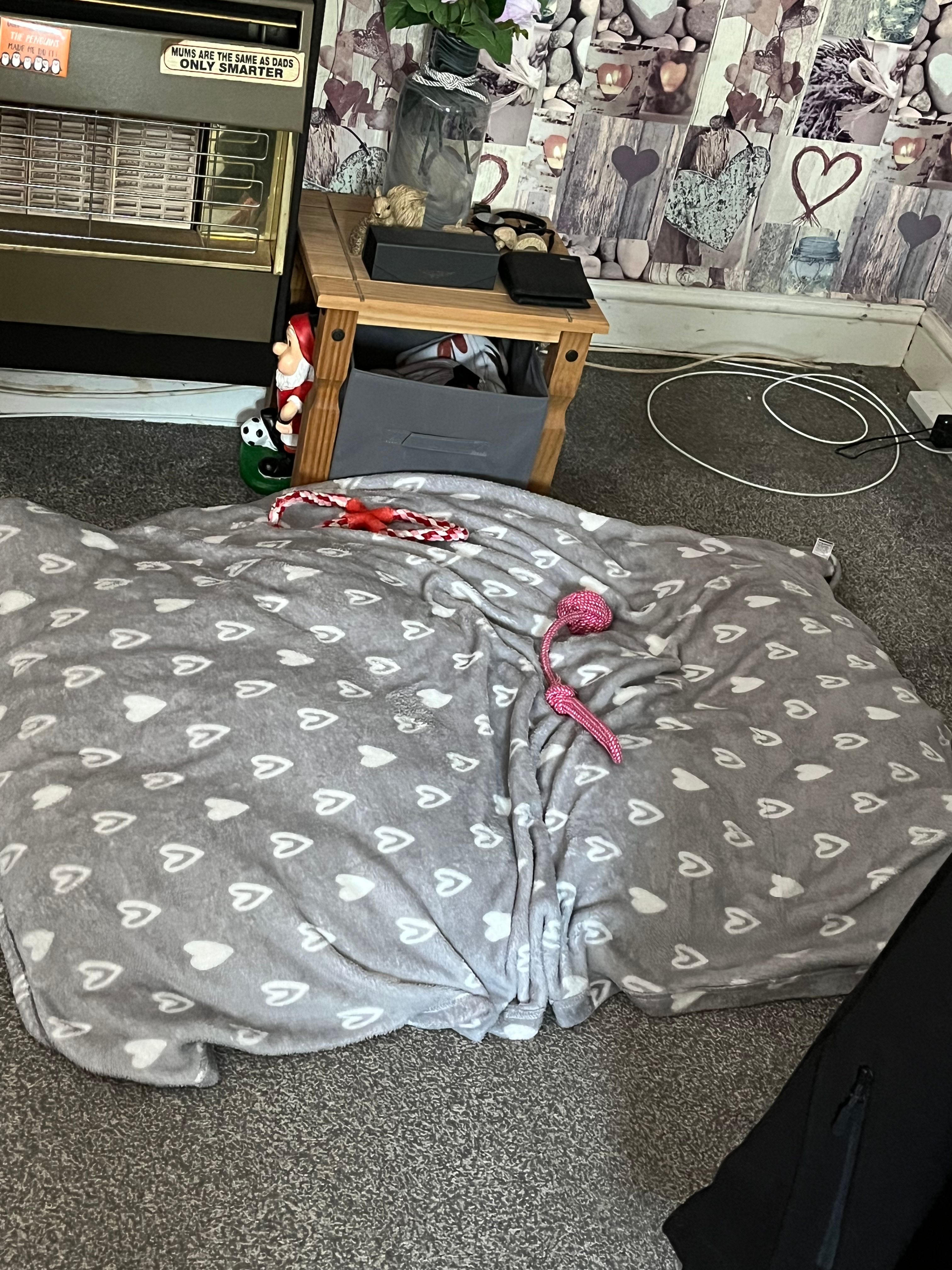 image-18