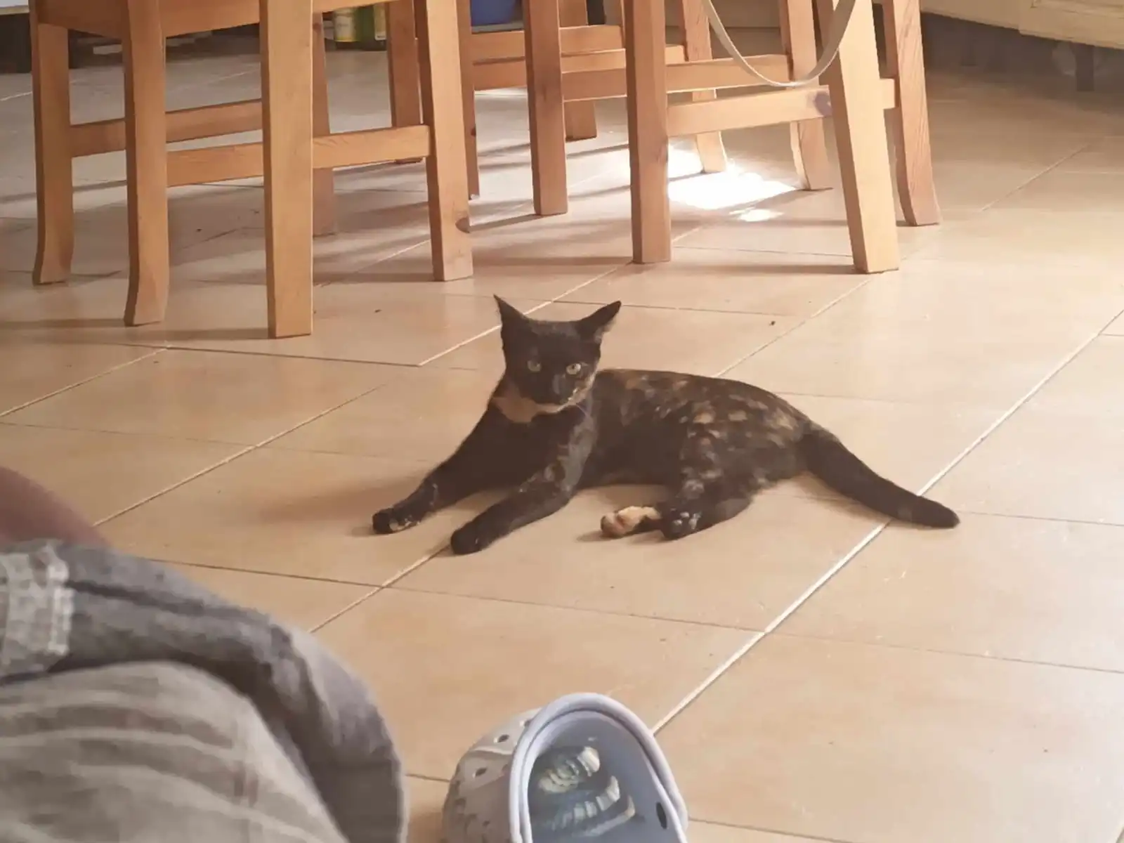 image-6