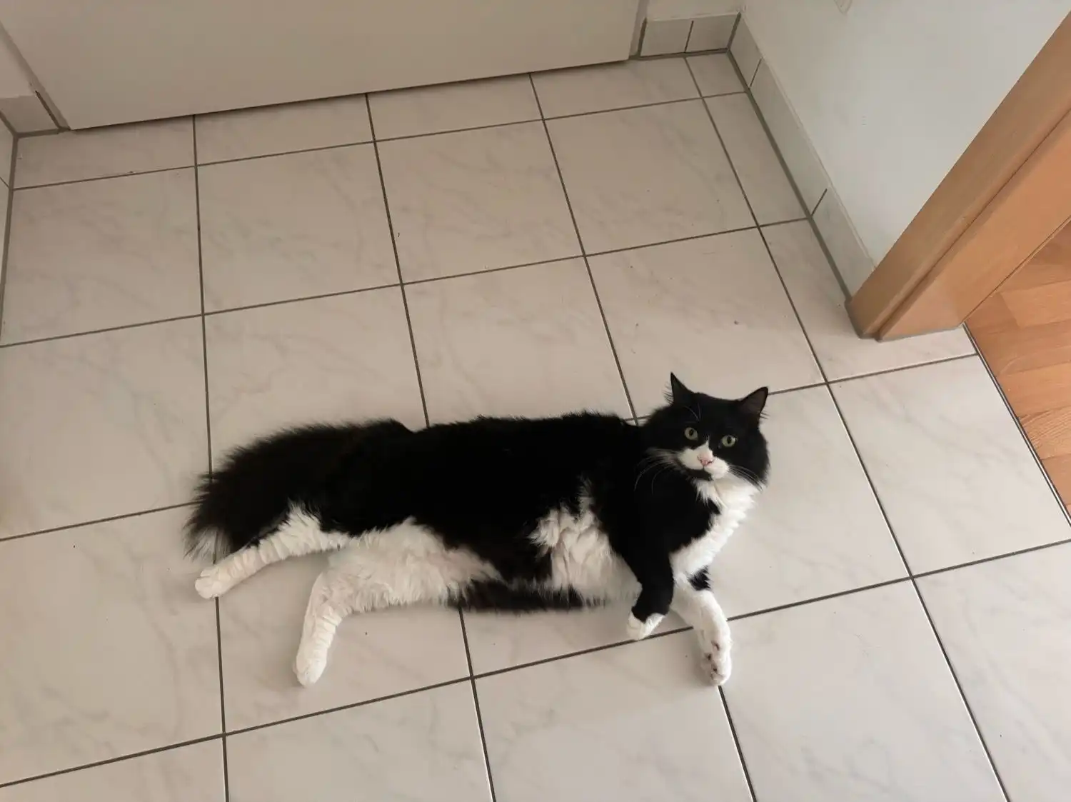 image-6