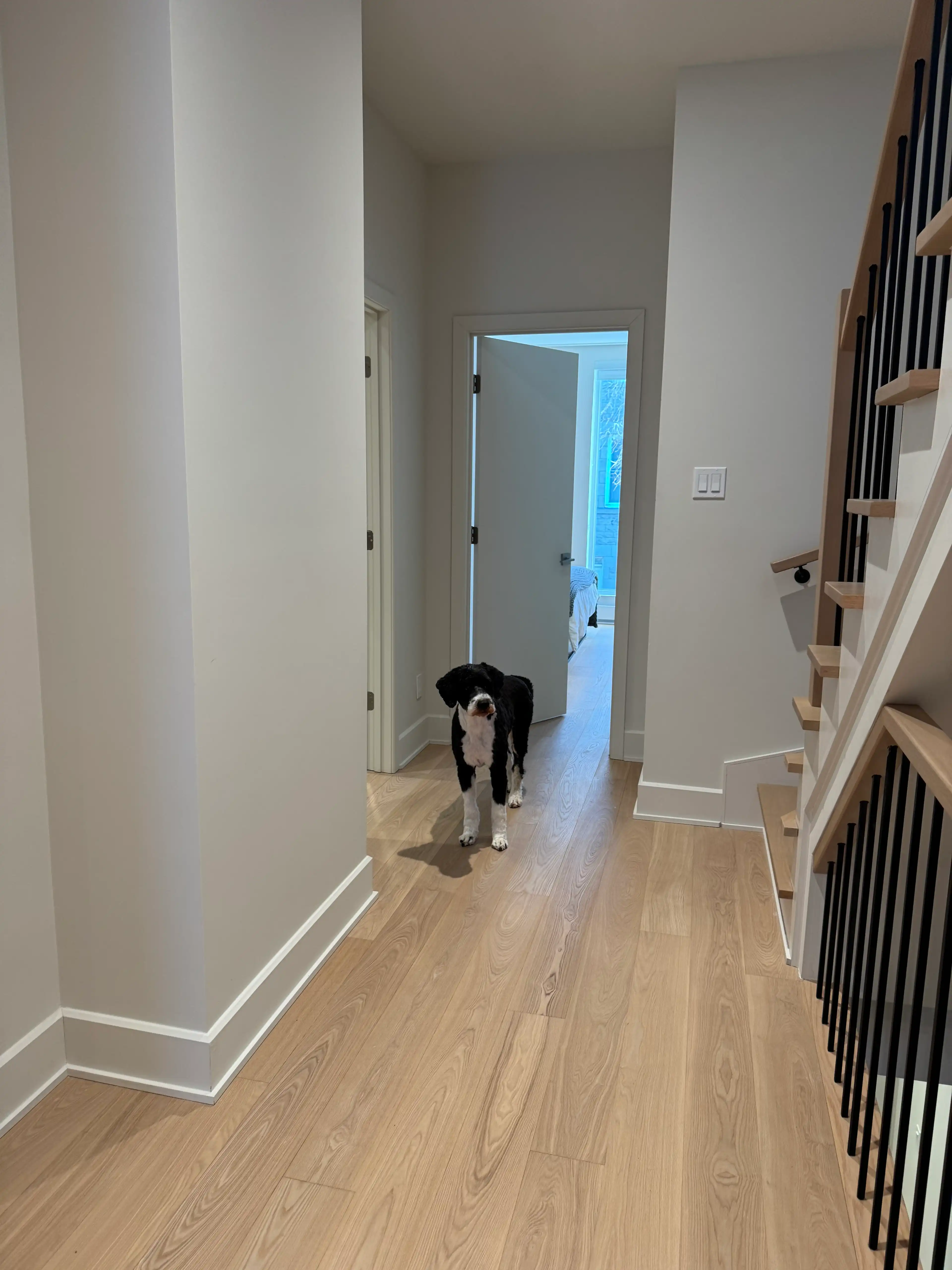 image-26