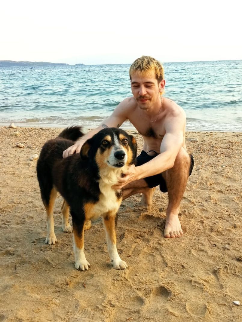 image-6