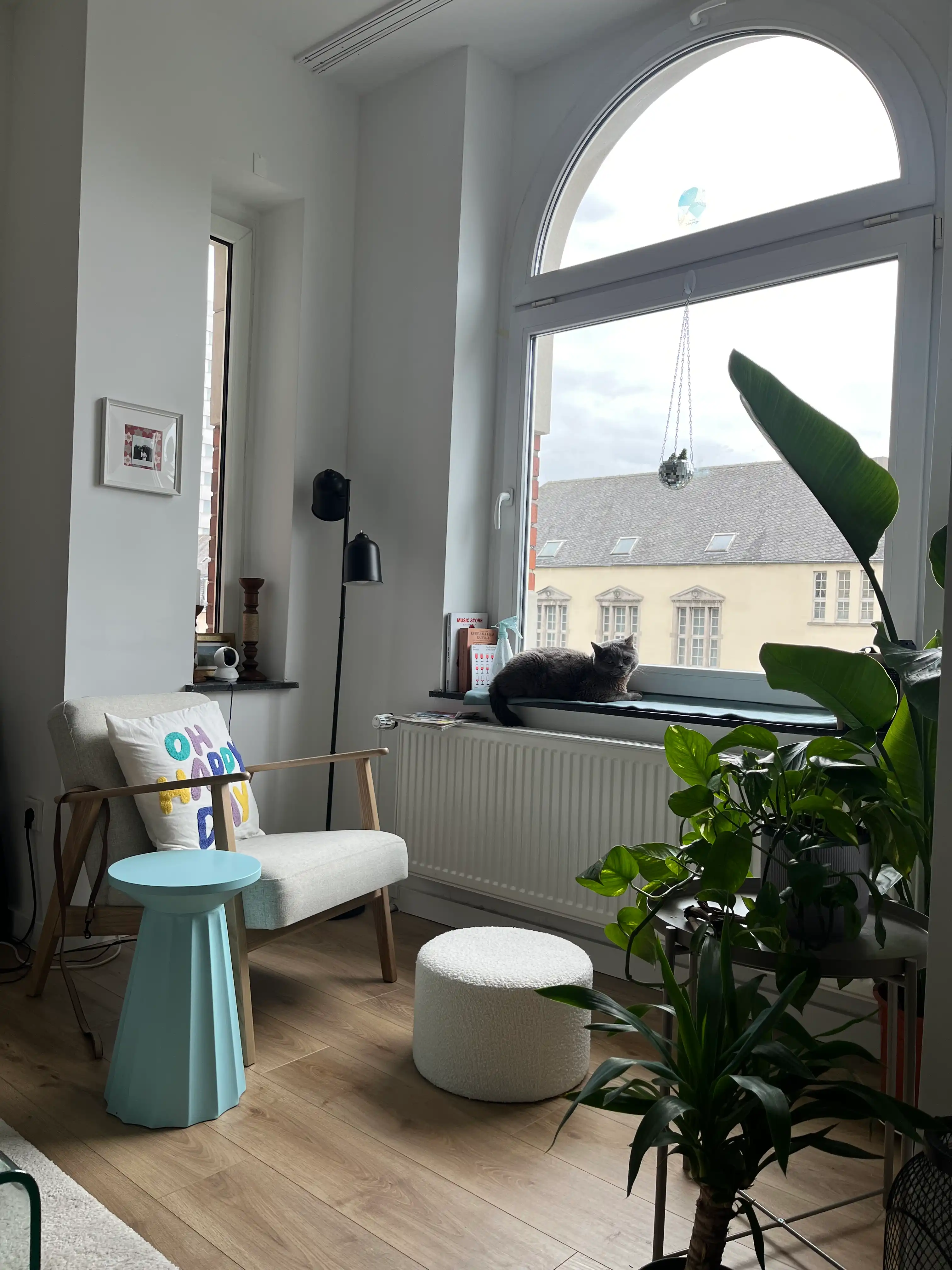 image-9