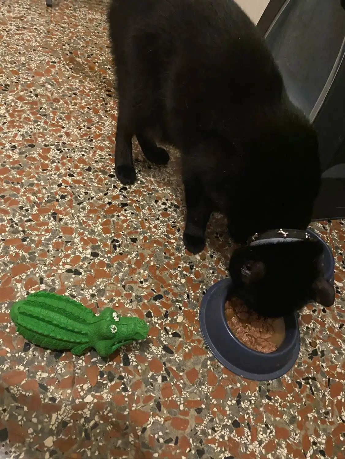 image-13