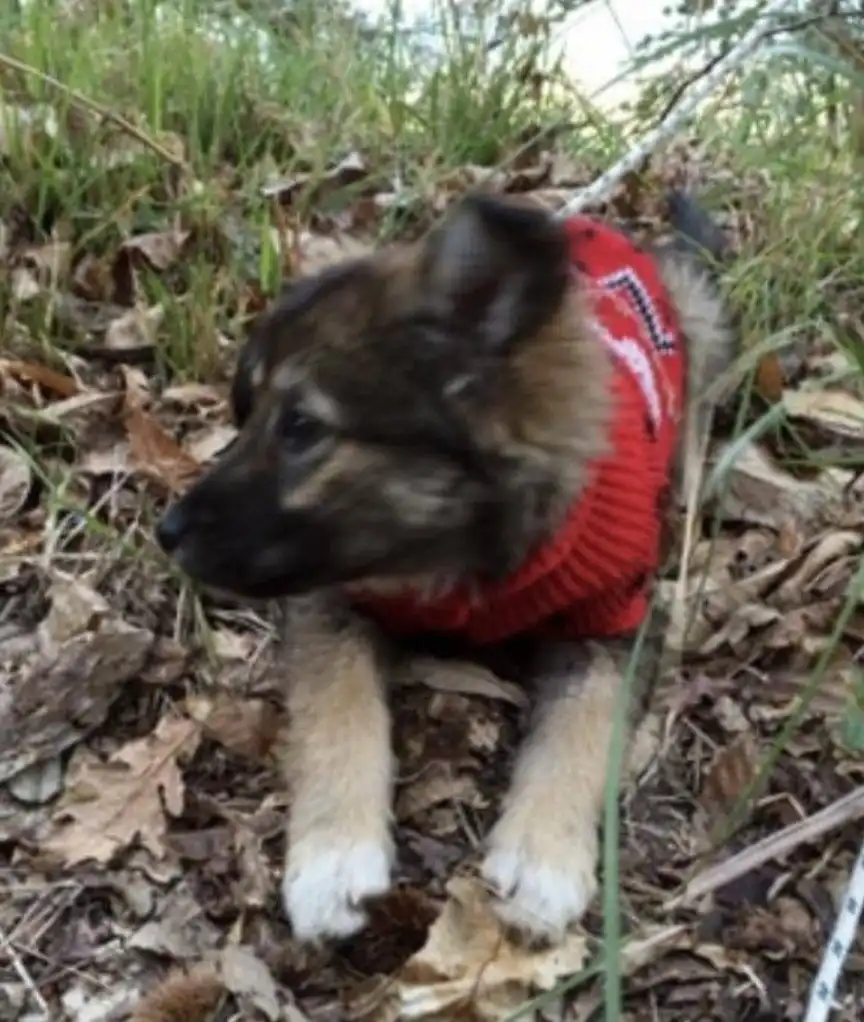 image-6