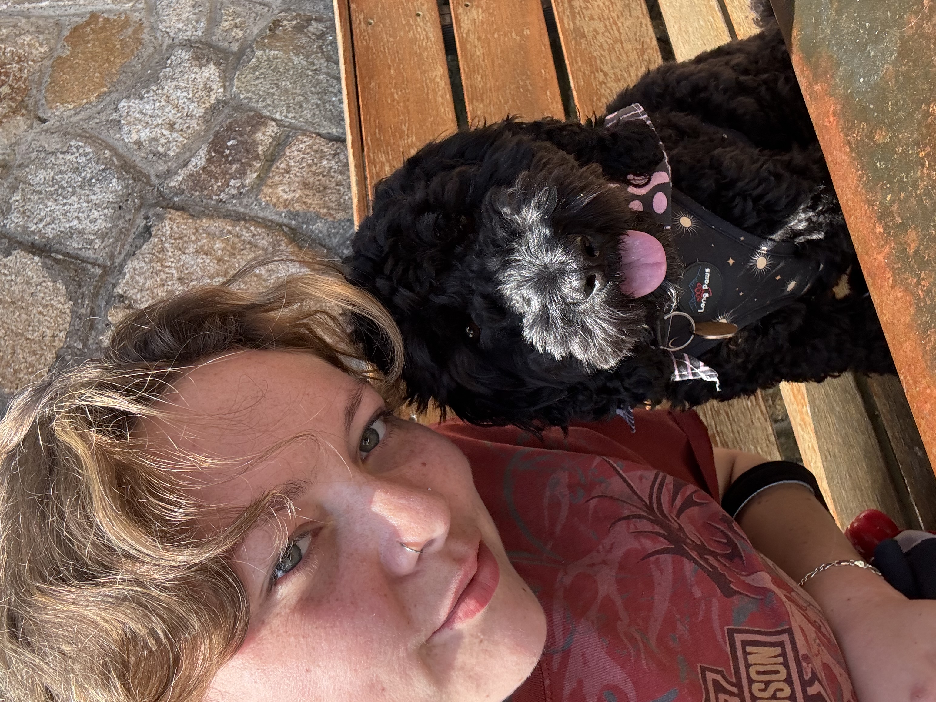 image-8