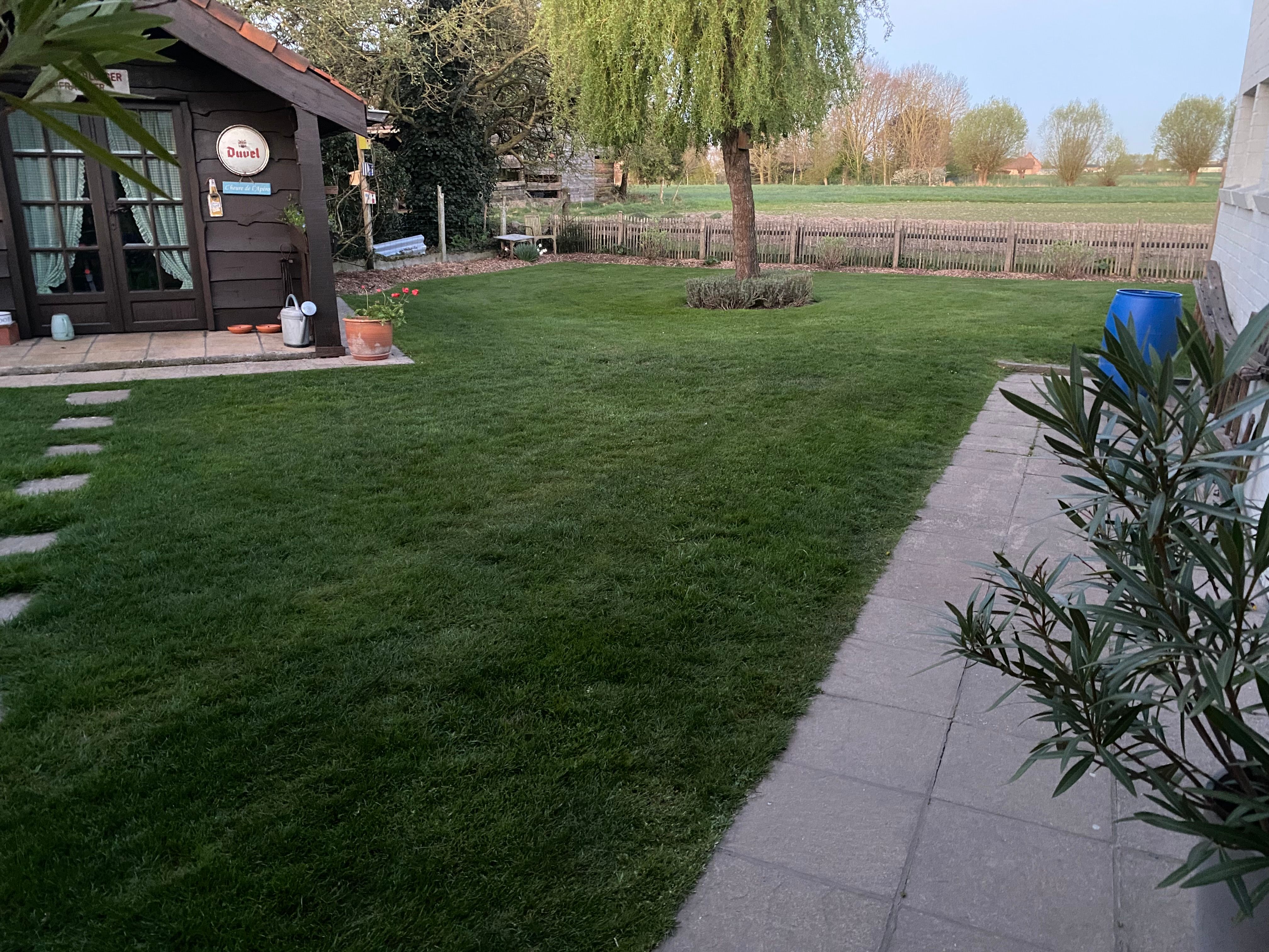 image-5